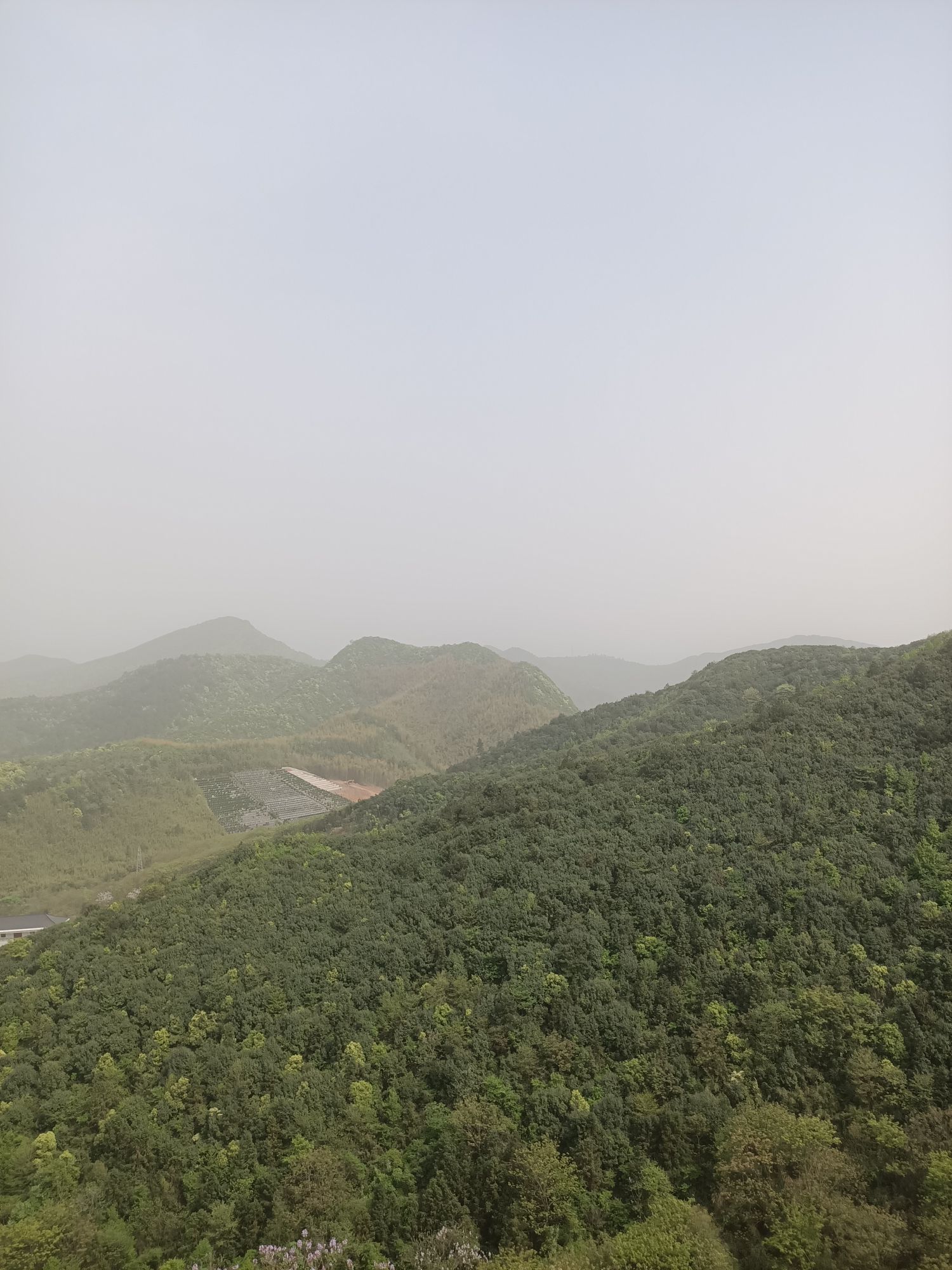 聚龙山公园旅行图片 3