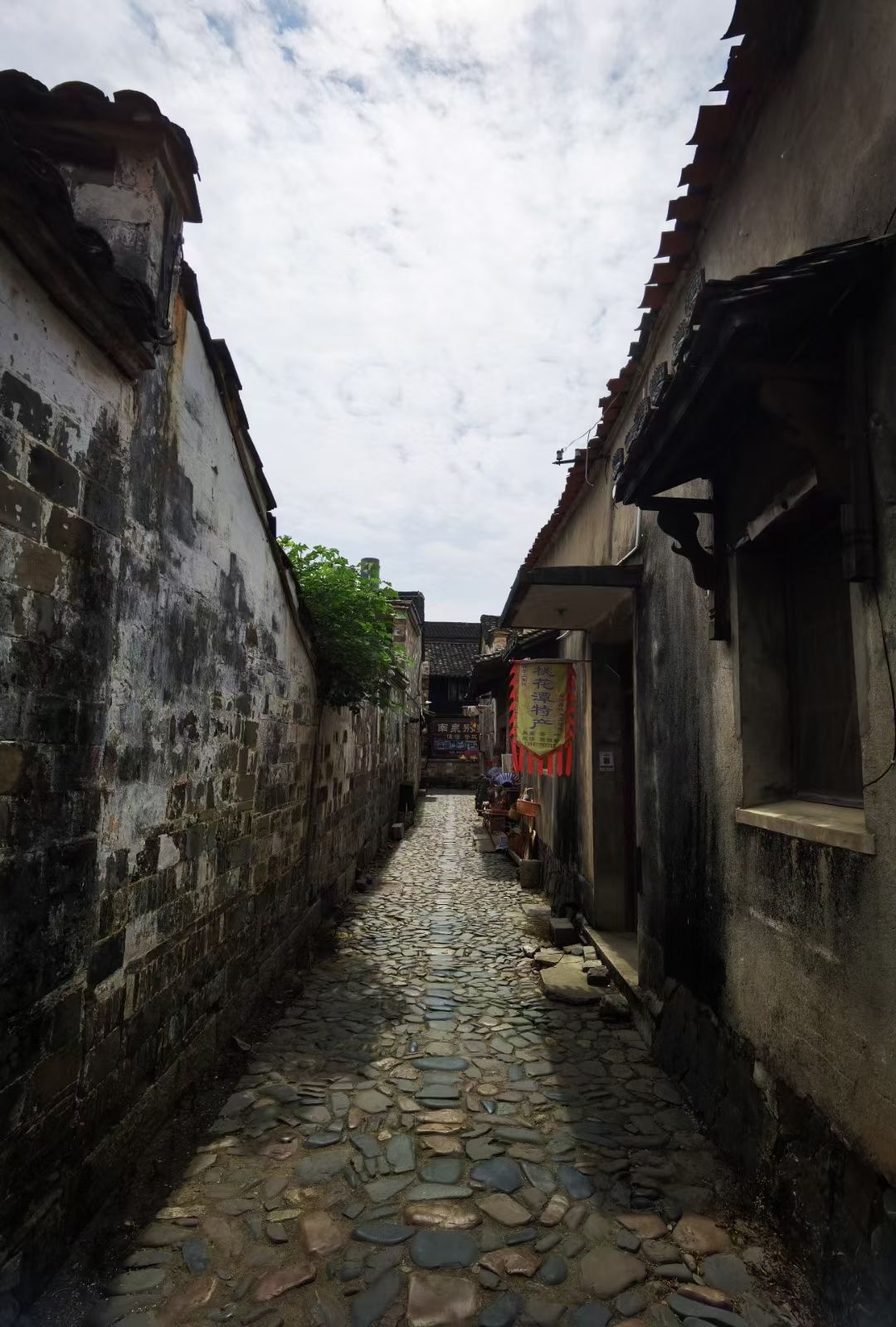 桃花潭旅游度假区旅行图片 2
