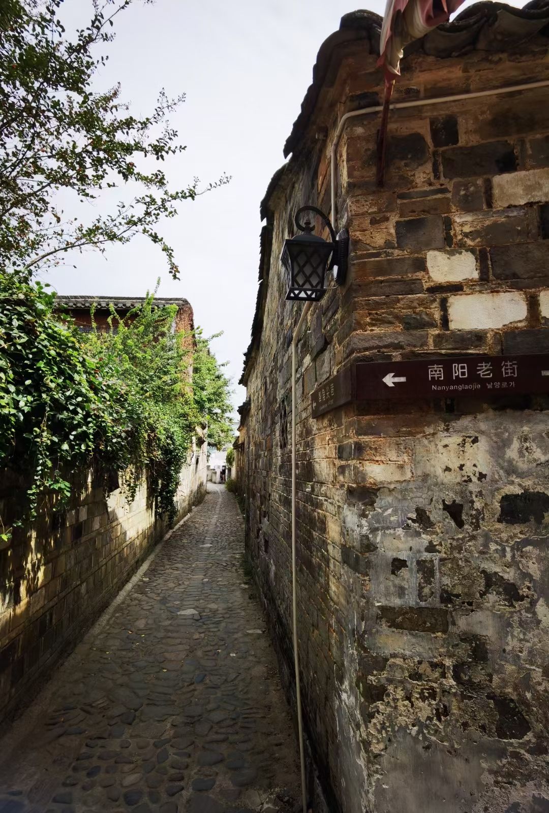 桃花潭旅游度假区旅行图片 1