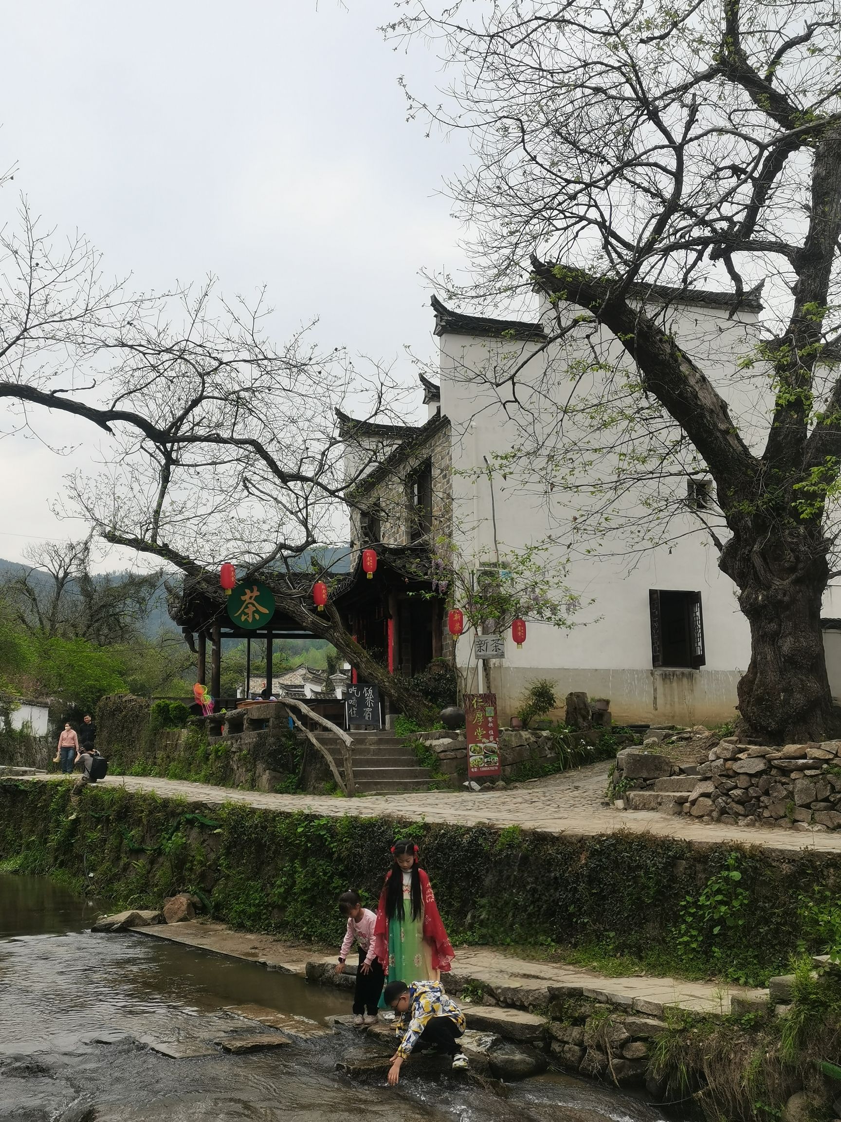 桃花潭旅游度假区旅行图片 2