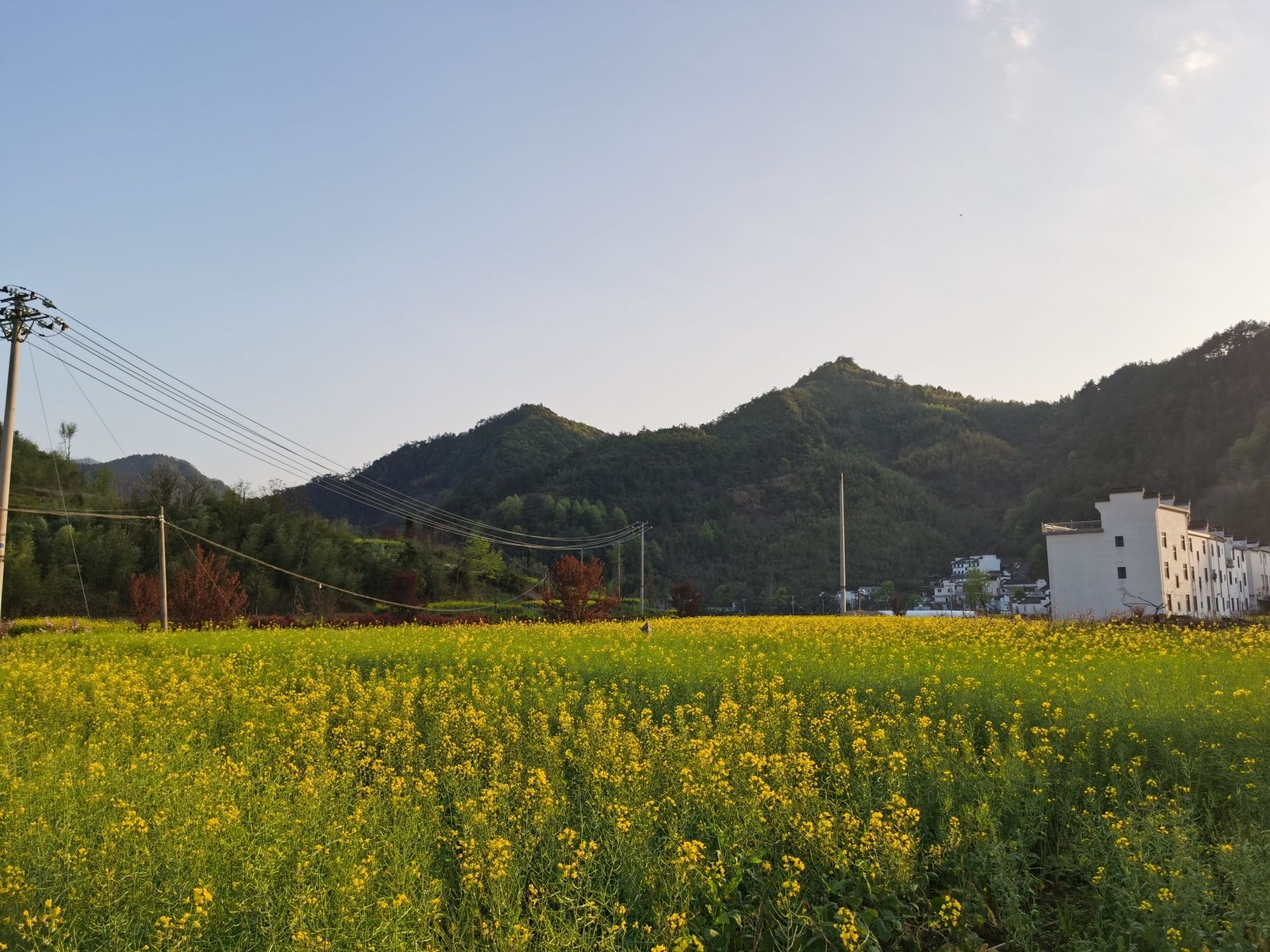 太极湖村风景区旅行图片 3