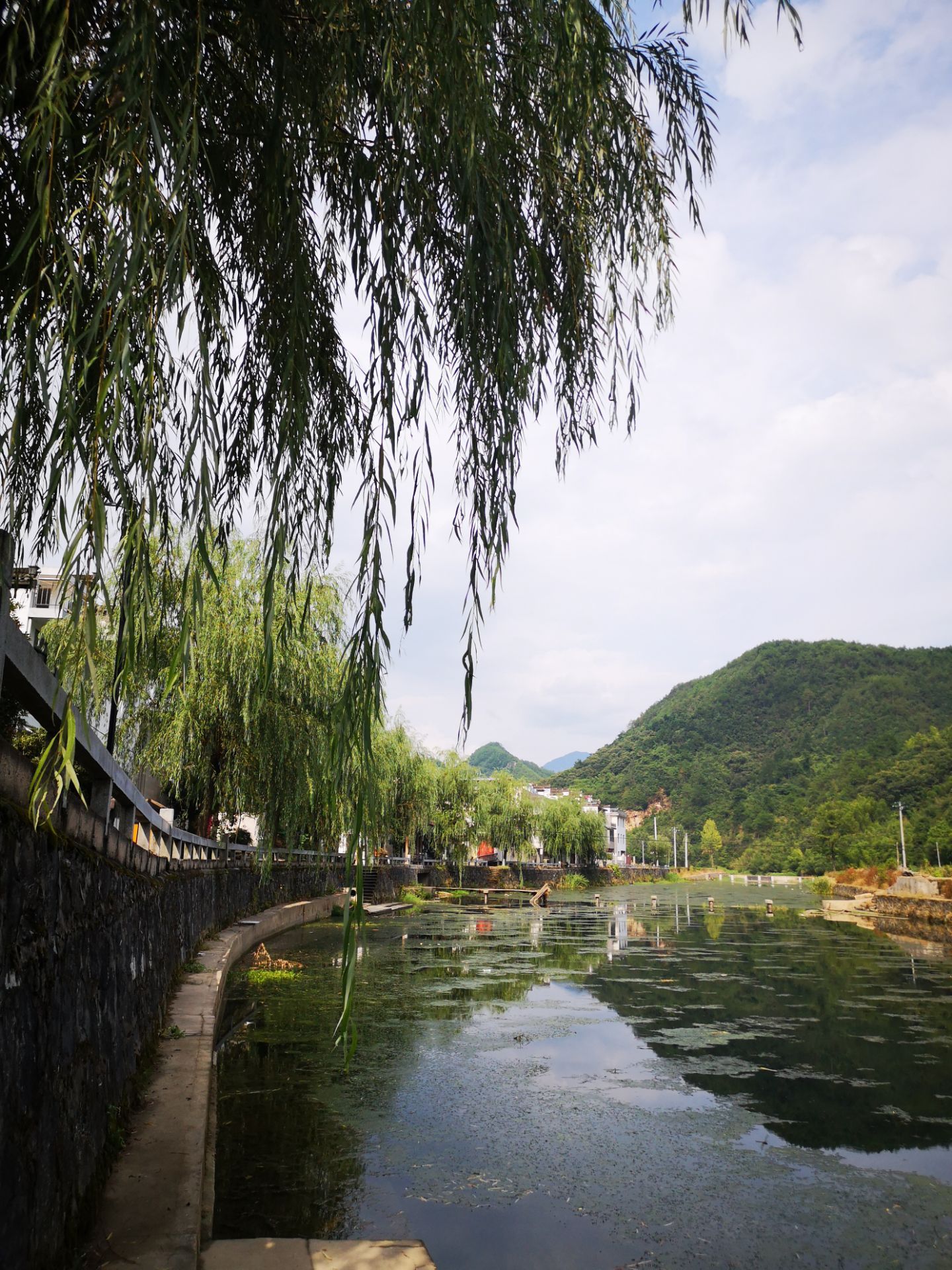 太极湖村风景区旅行图片 1