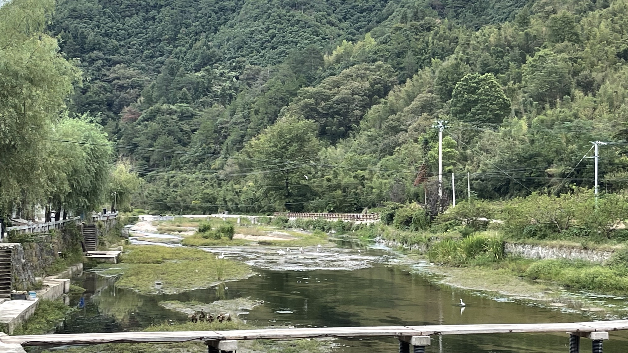 太极湖村风景区旅行图片 1