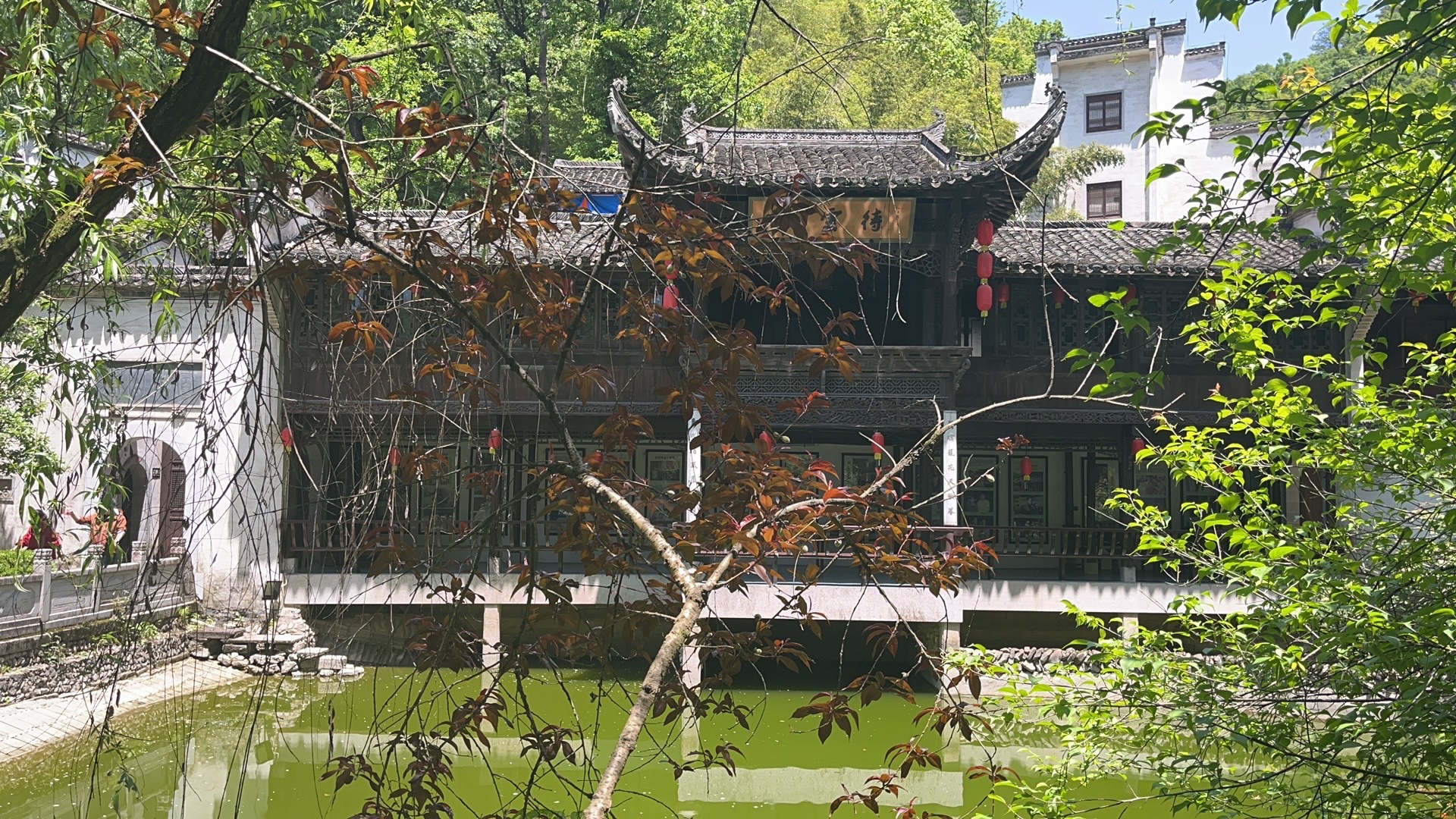 紫园景区旅行图片 1