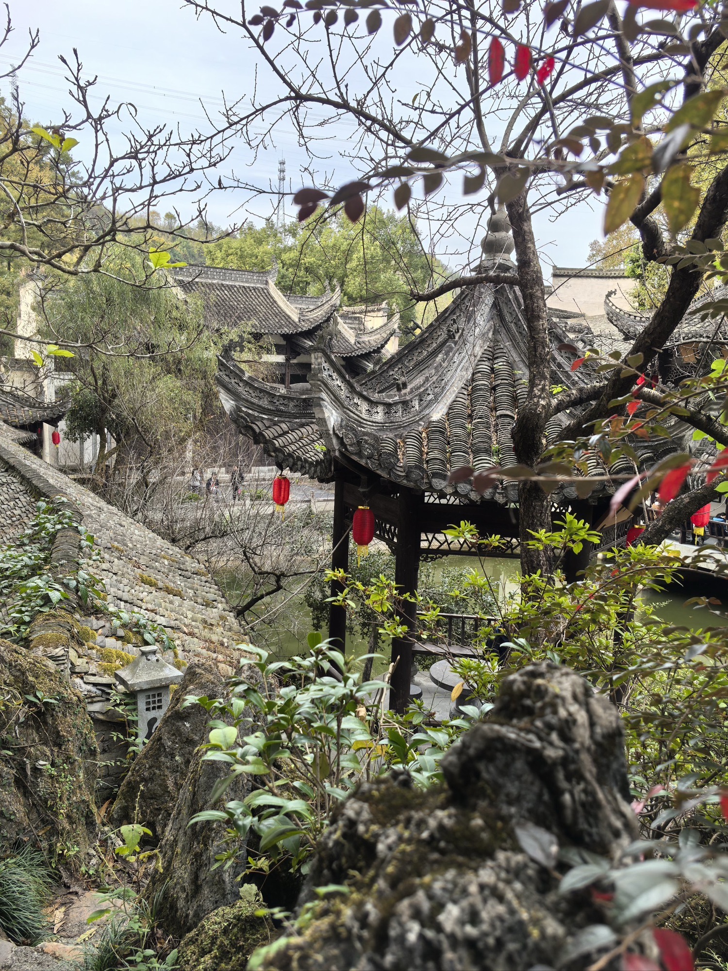 紫园景区旅行图片 2