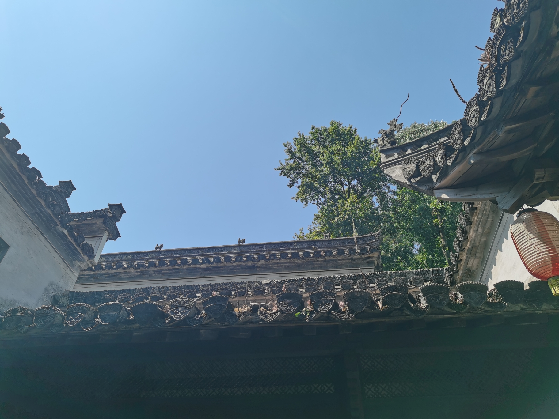 紫园景区旅行图片 2