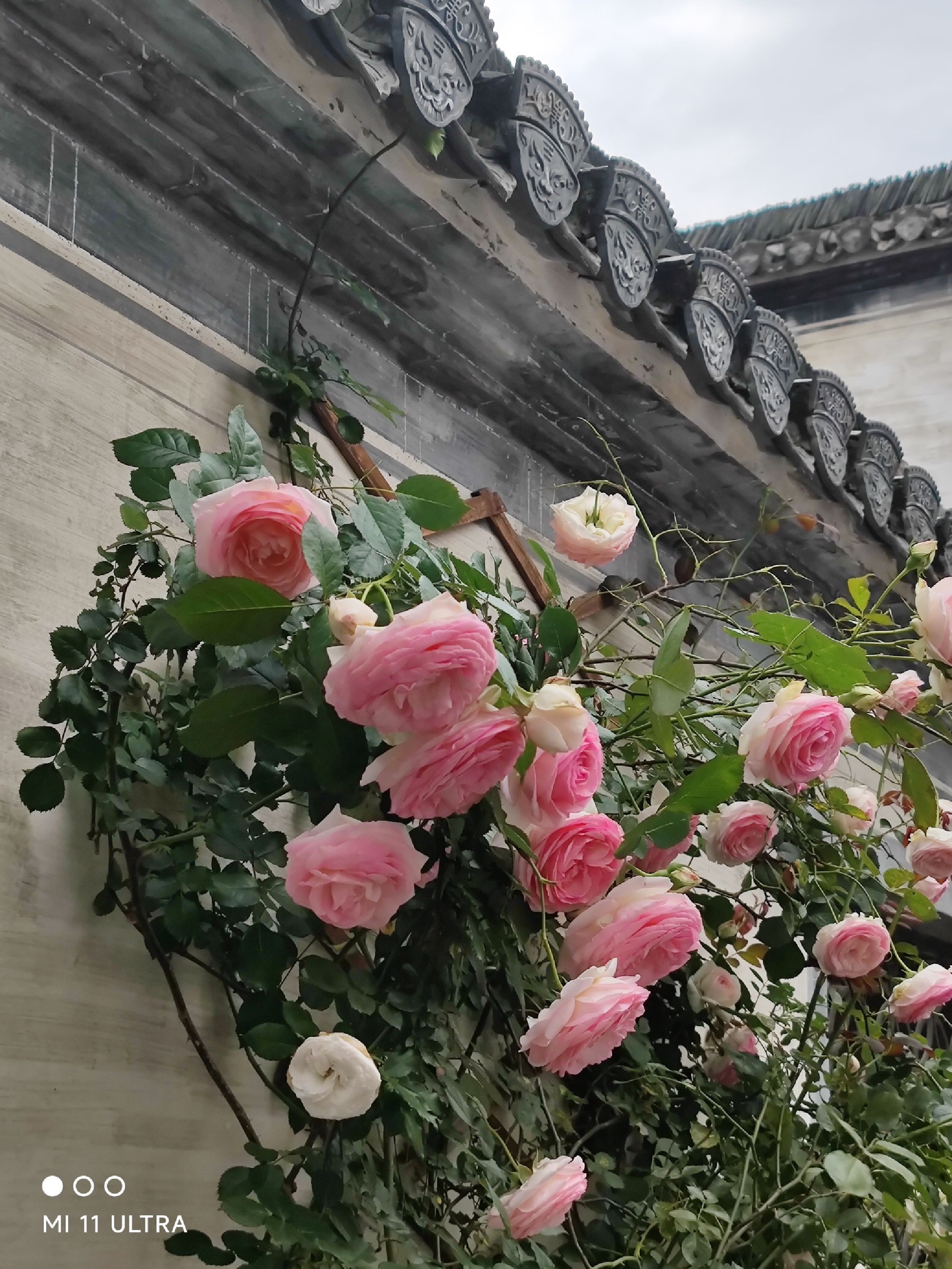 绩溪仁里景区旅行图片 3