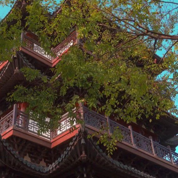 梅溪公园旅行图片 3