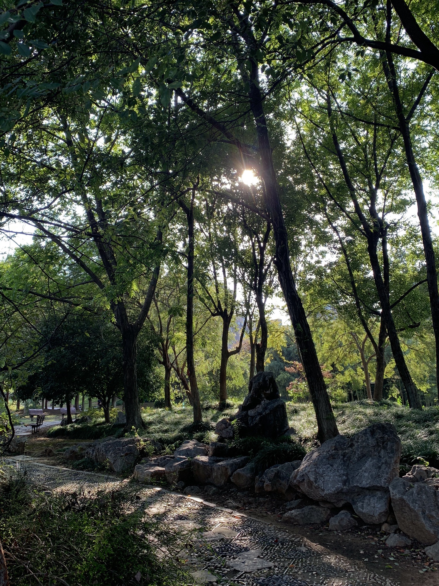 梅溪公园旅行图片 2