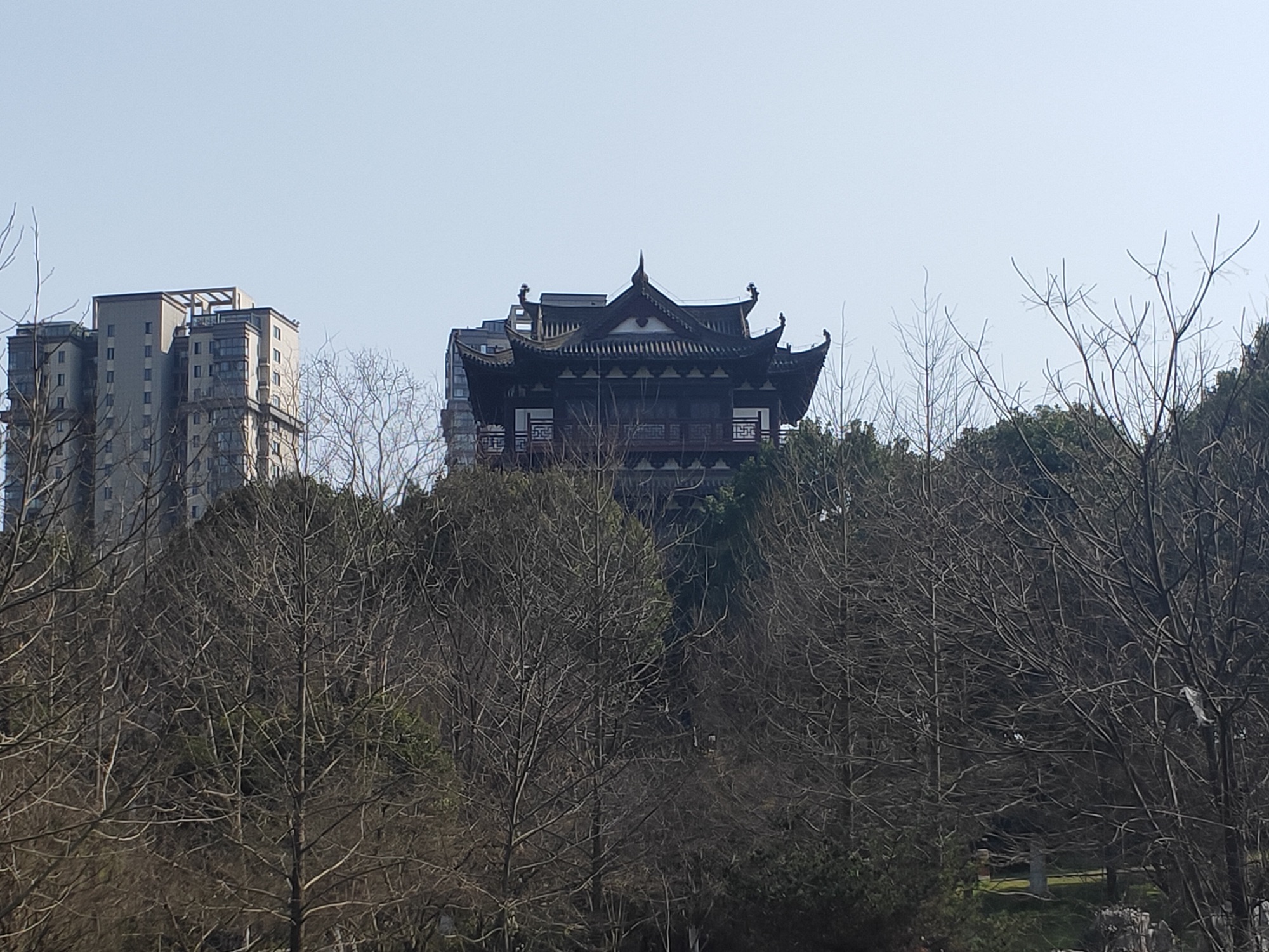 梅溪公园旅行图片 3