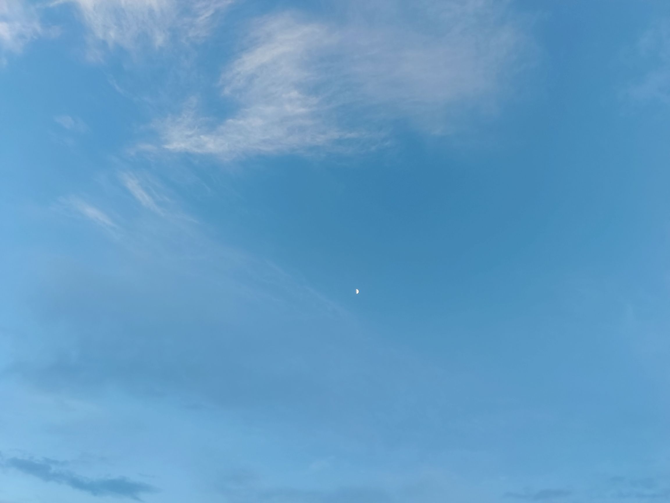 滨河公园旅行图片 2