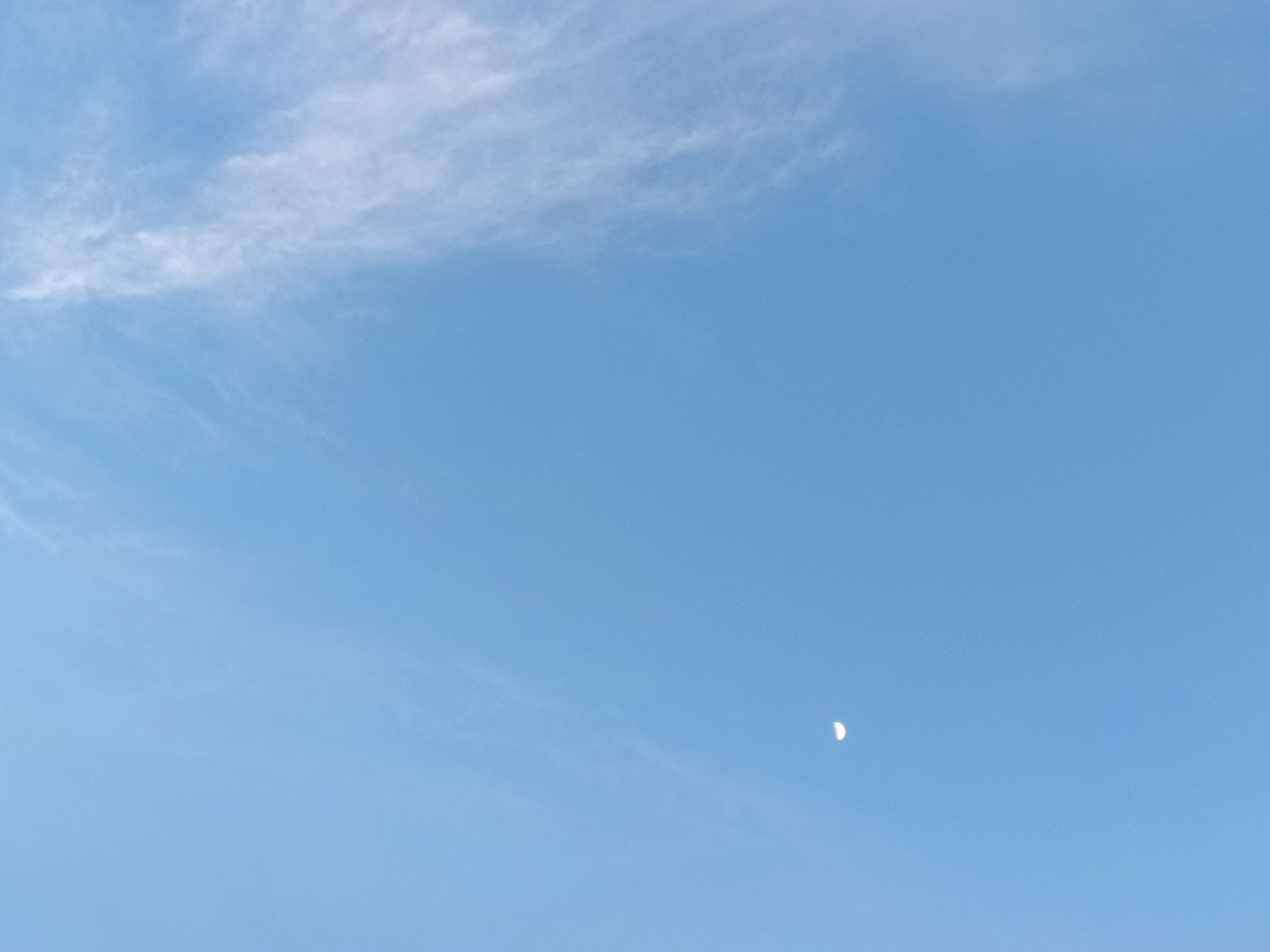 滨河公园旅行图片 1