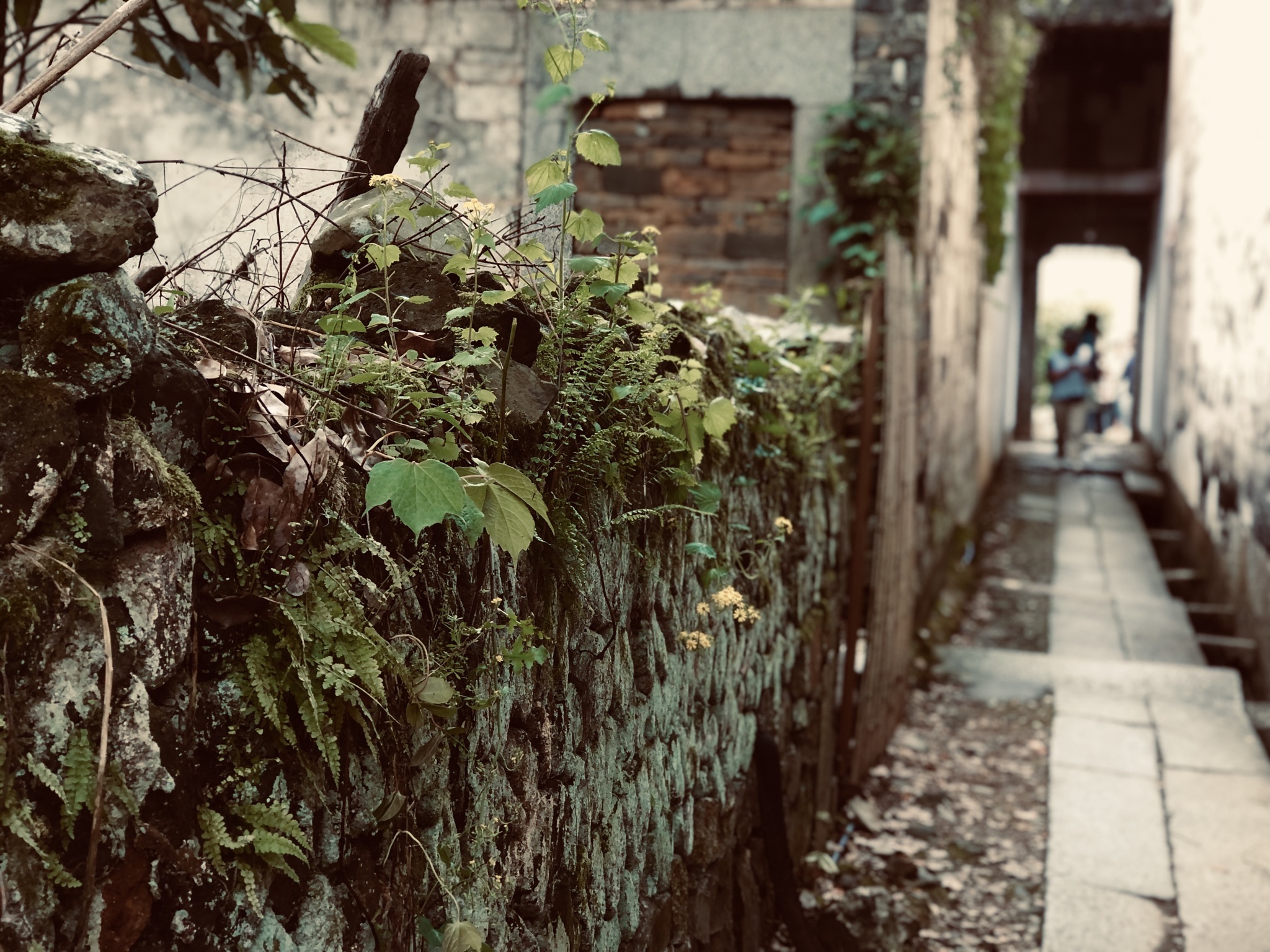 泾县黄田古民居旅行图片 3