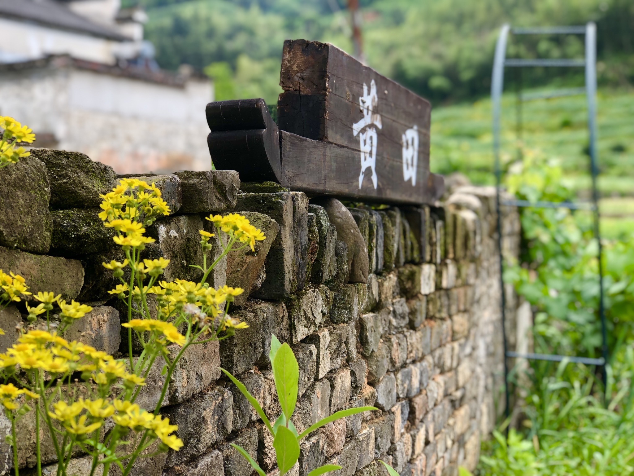 泾县黄田古民居旅行图片 2