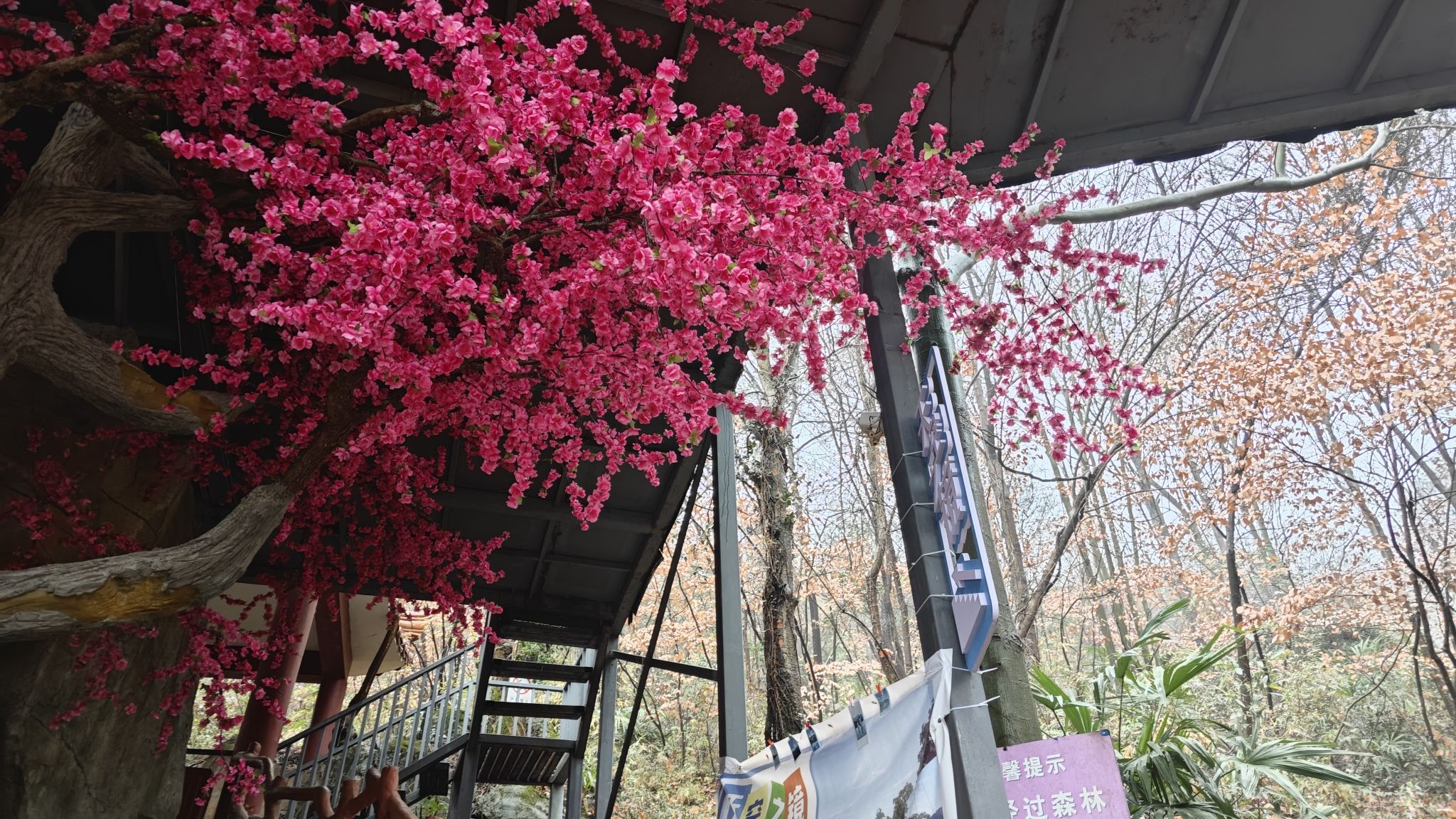 龙泉洞风景区旅行图片 1