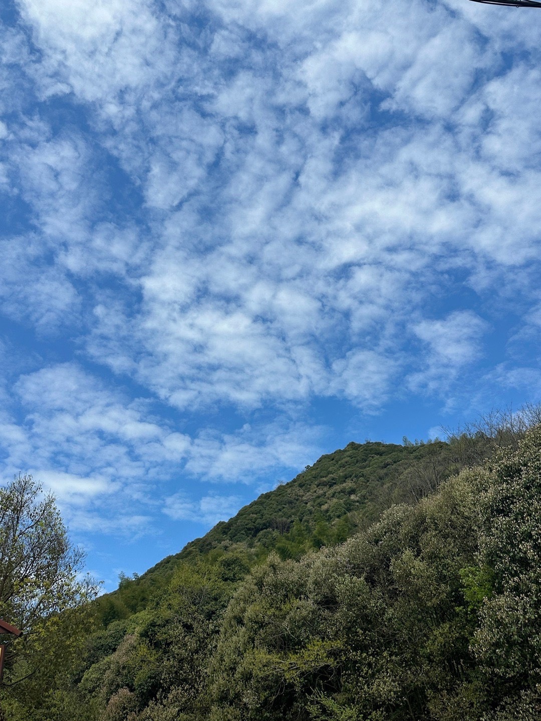 水墨汀溪风景区旅行图片 2