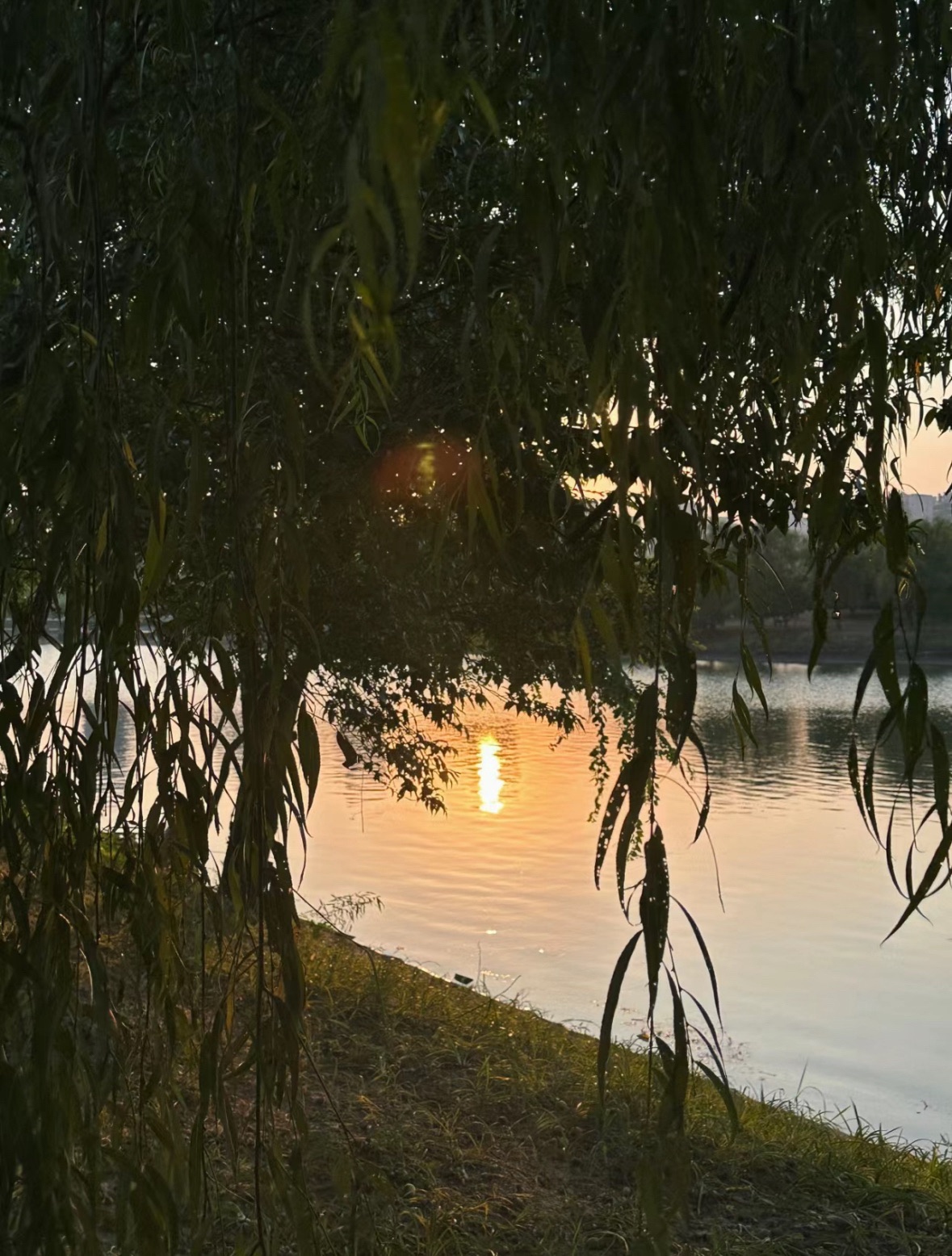 广德市无量溪滨河公园旅行图片 2