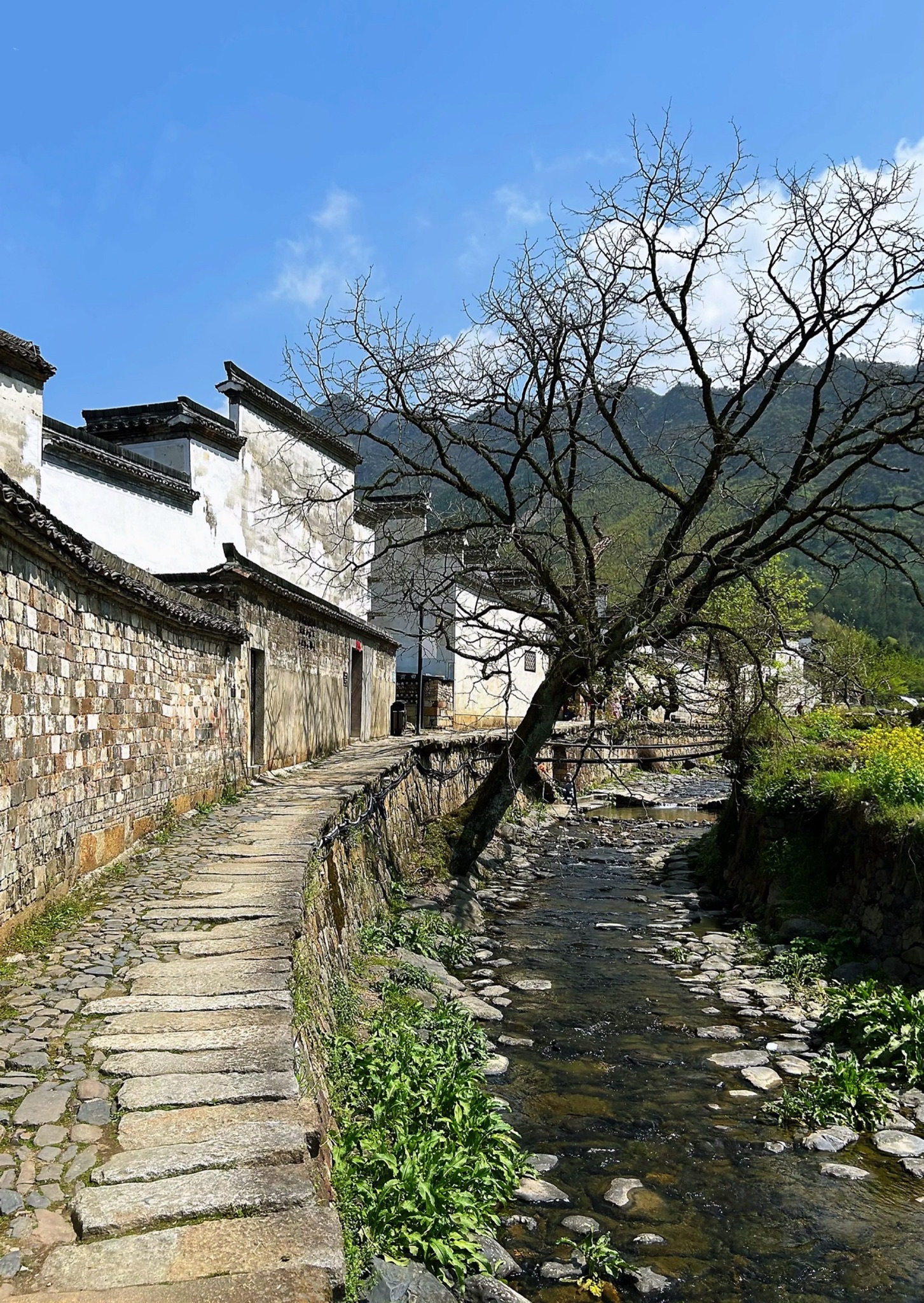泾县黄田风景区旅行图片 1