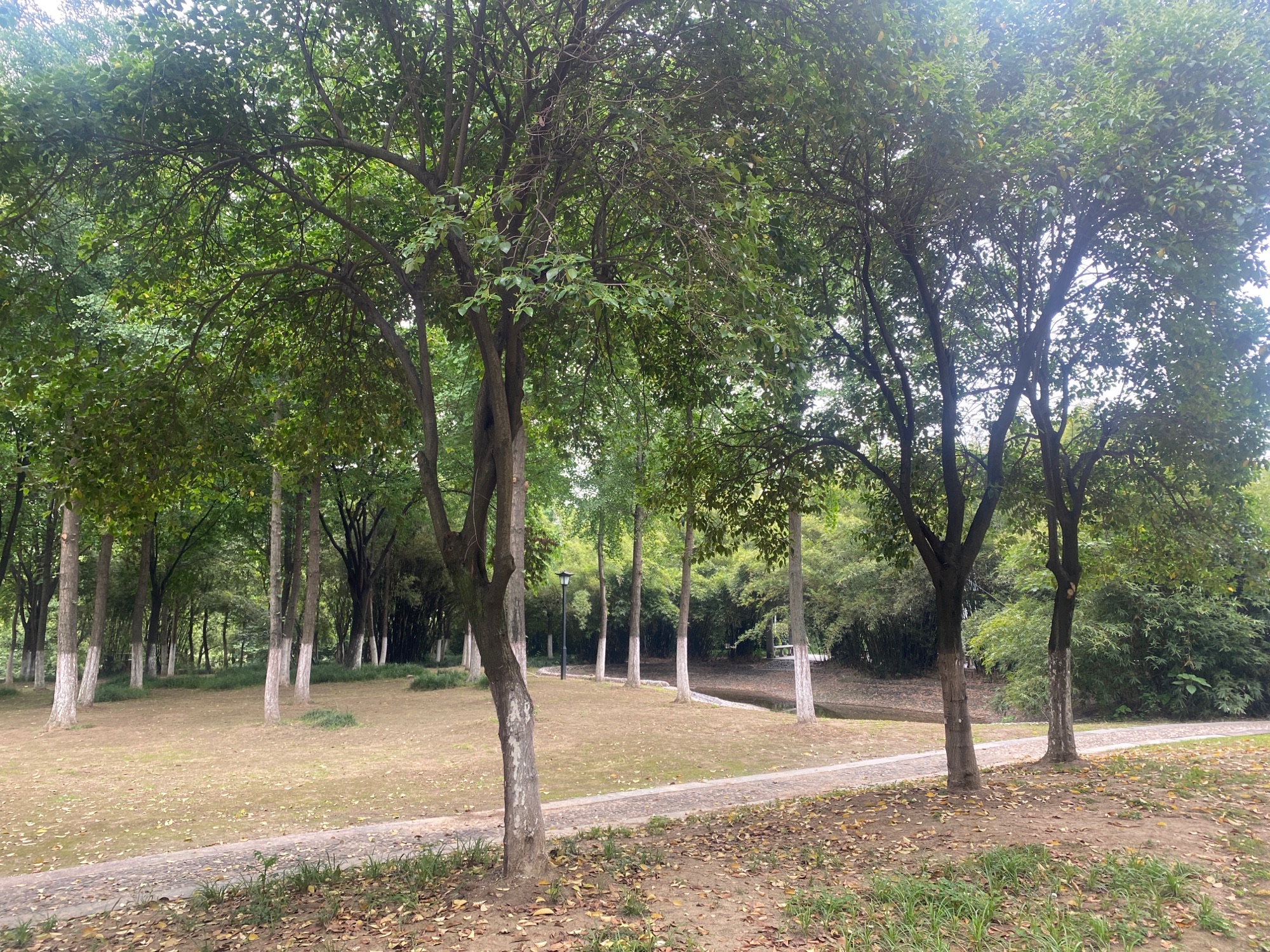 滨河公园旅行图片 1