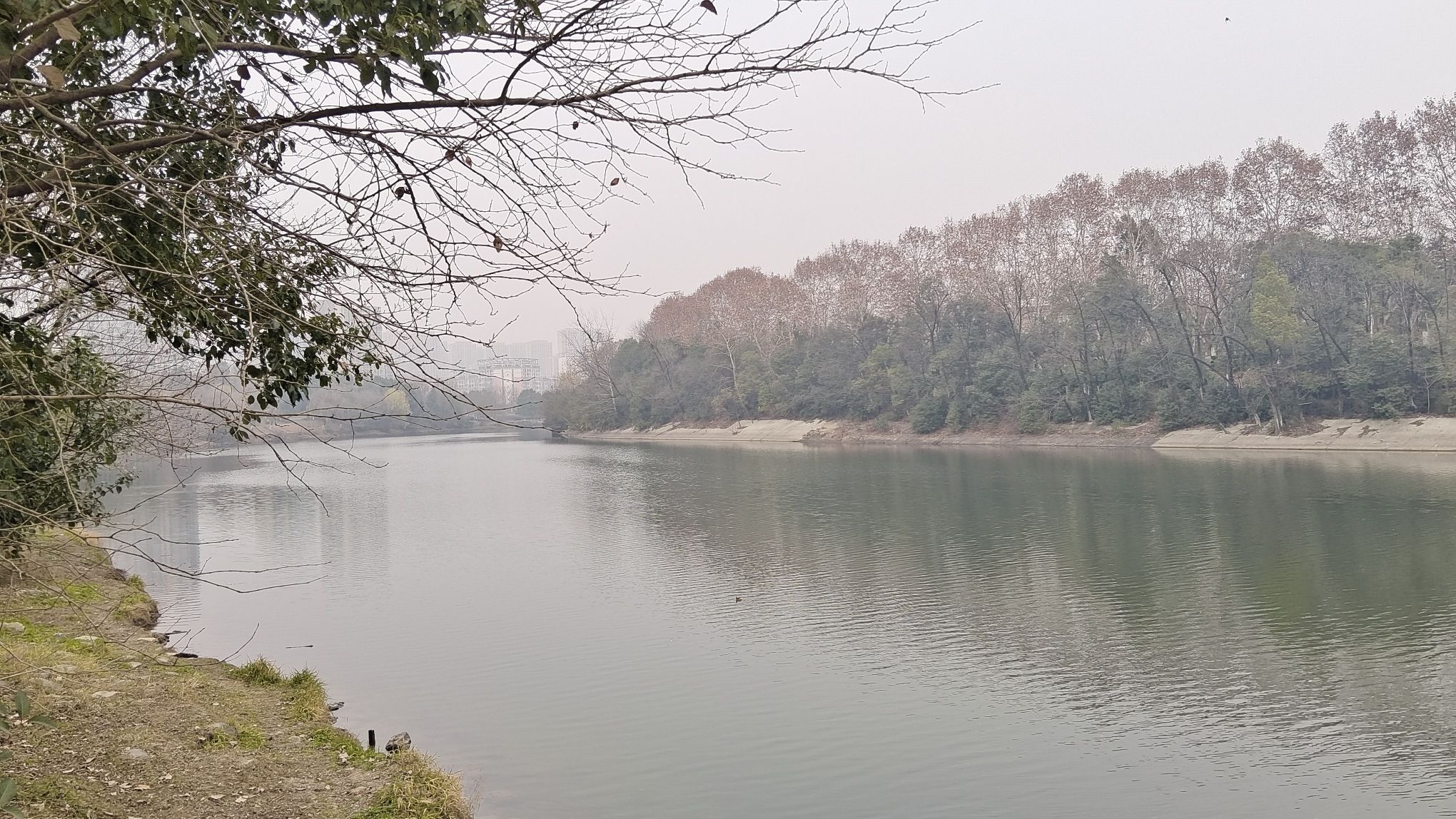 滨河公园旅行图片 2