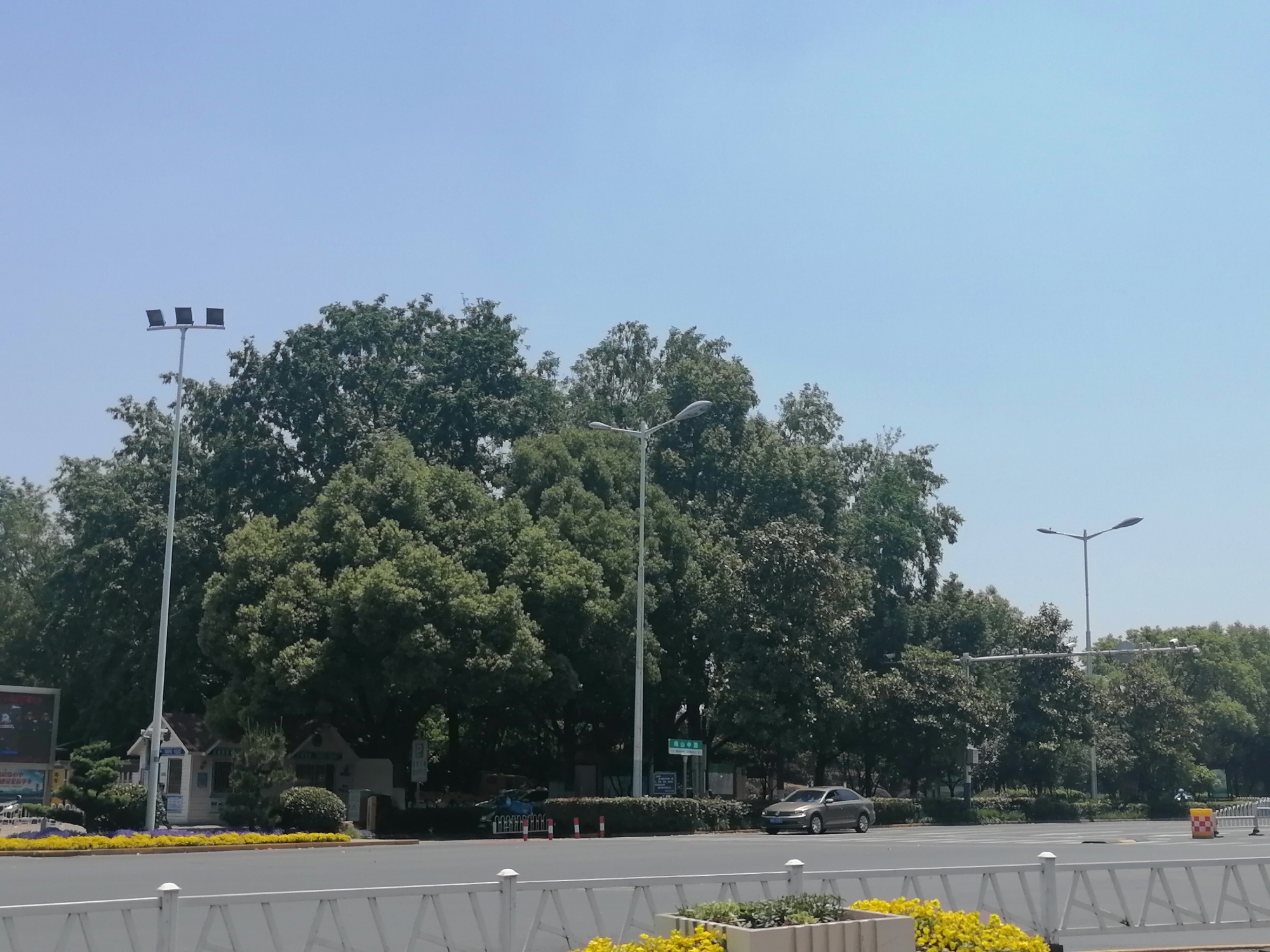 滨河公园旅行图片 3