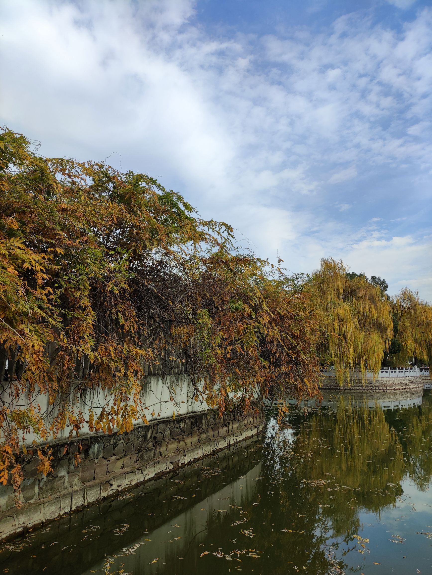 飞霞公园旅行图片 1