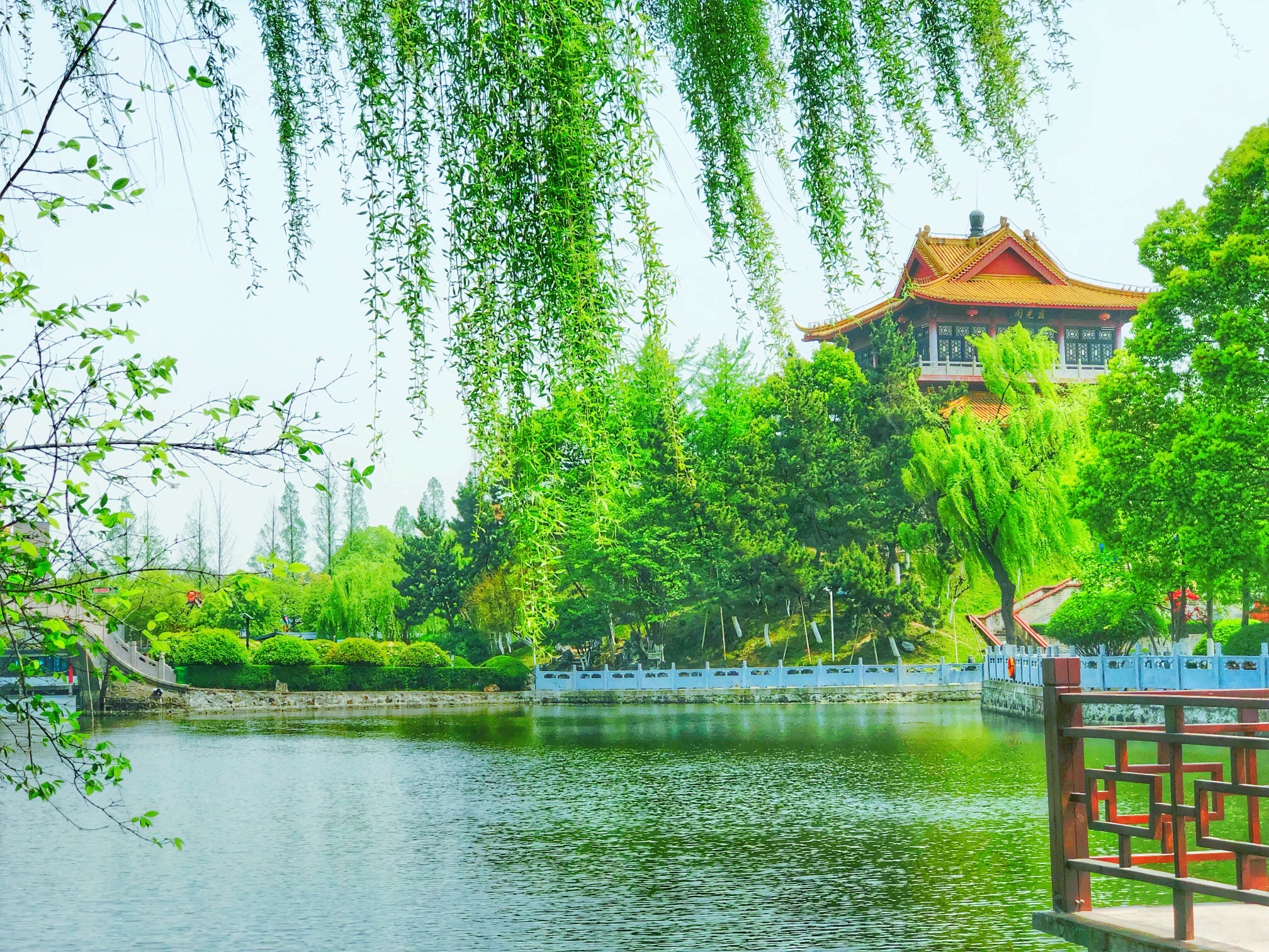飞霞公园旅行图片 2