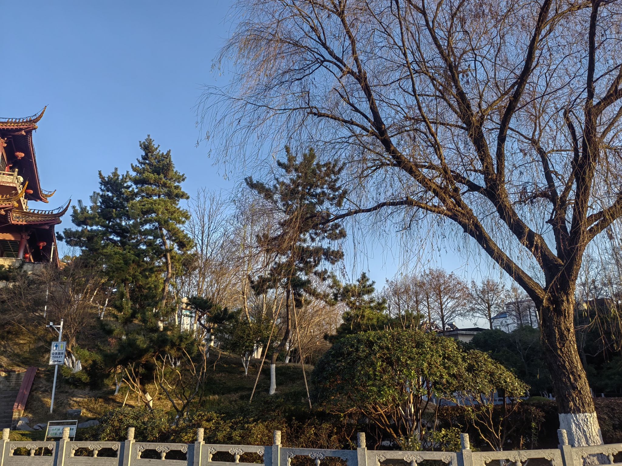 飞霞公园旅行图片 3