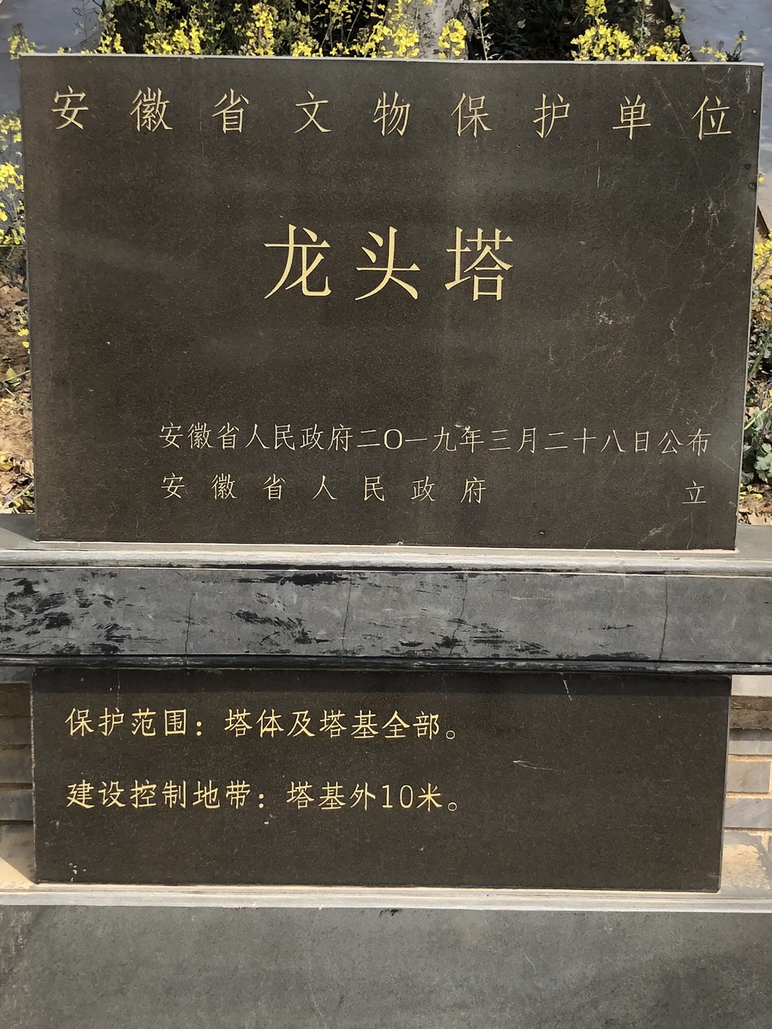 龙头塔旅行图片 2