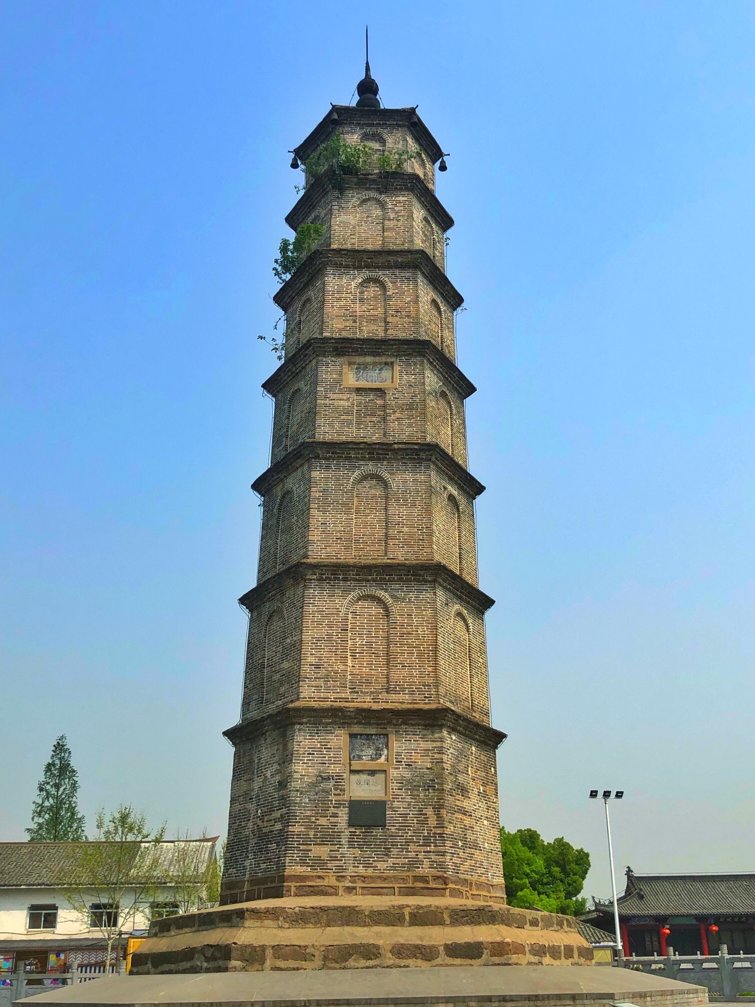 龙头塔旅行图片 1