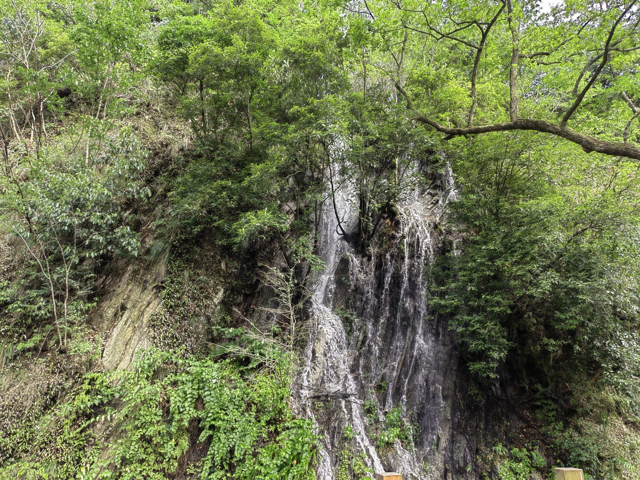 东石笋风景区旅行图片 1