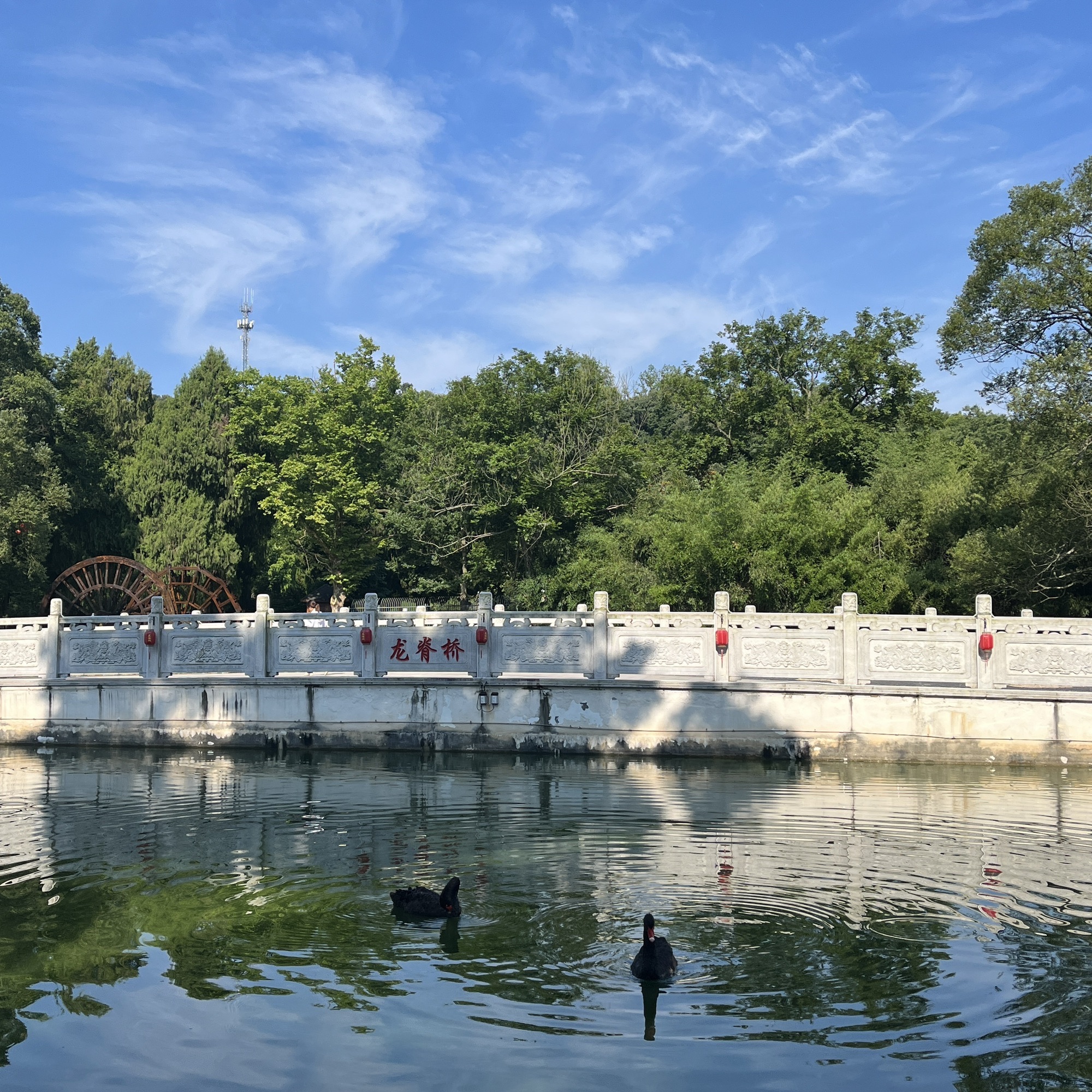 万佛湖风景区旅行图片 3