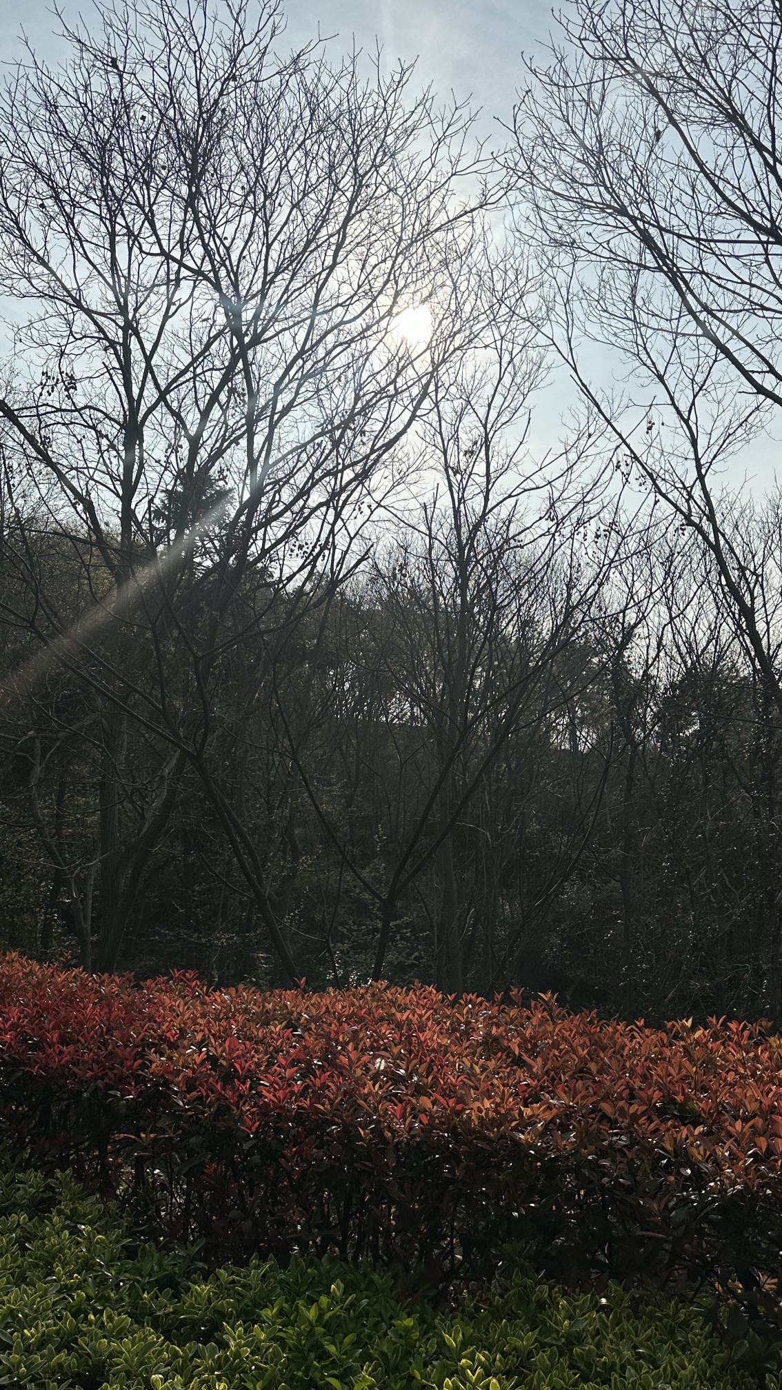 万佛湖风景区旅行图片 1