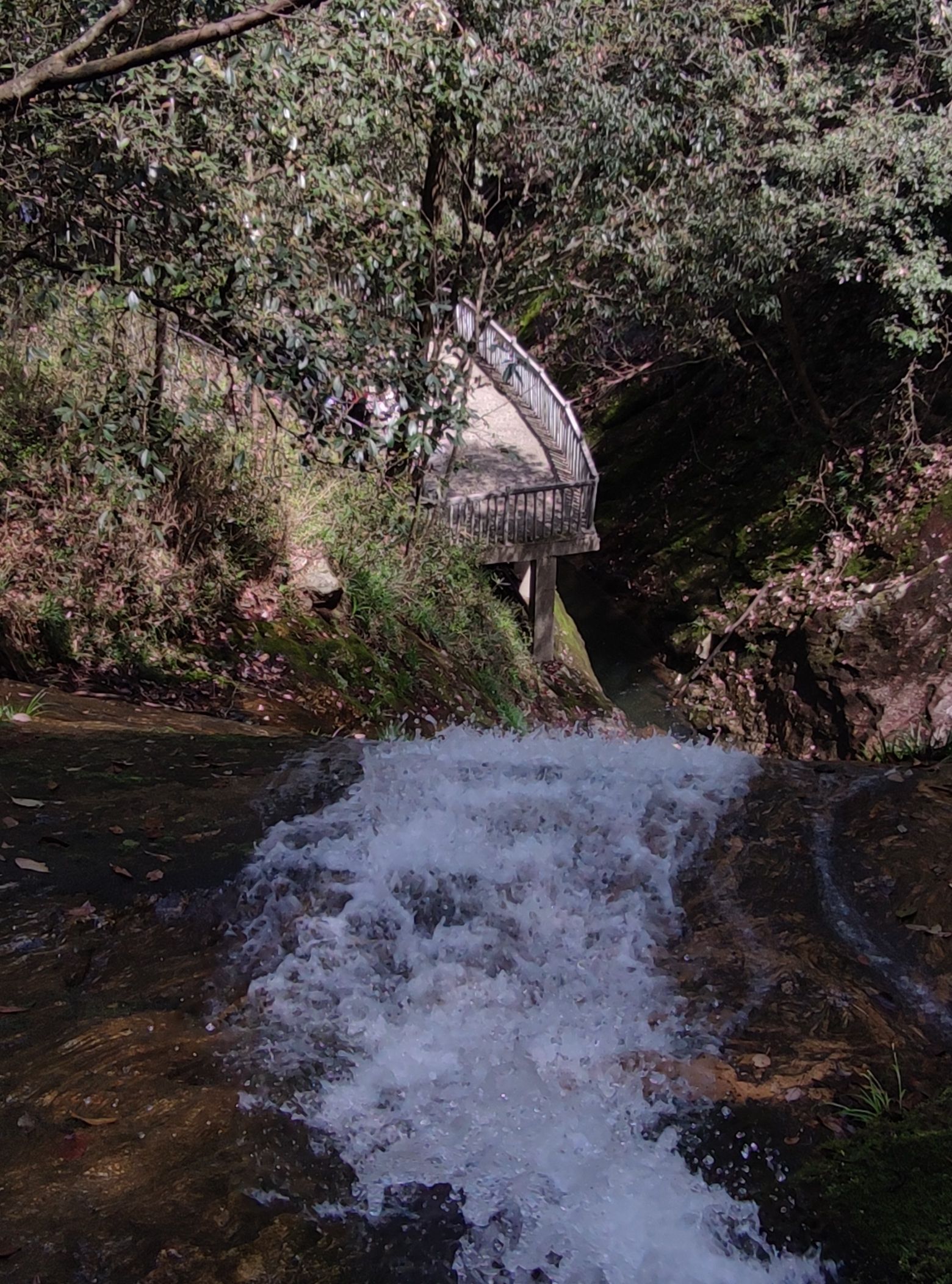 燕子河大峡谷旅行图片 2