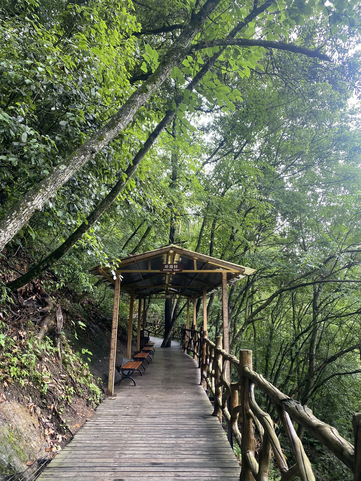 燕子河大峡谷旅行图片 3