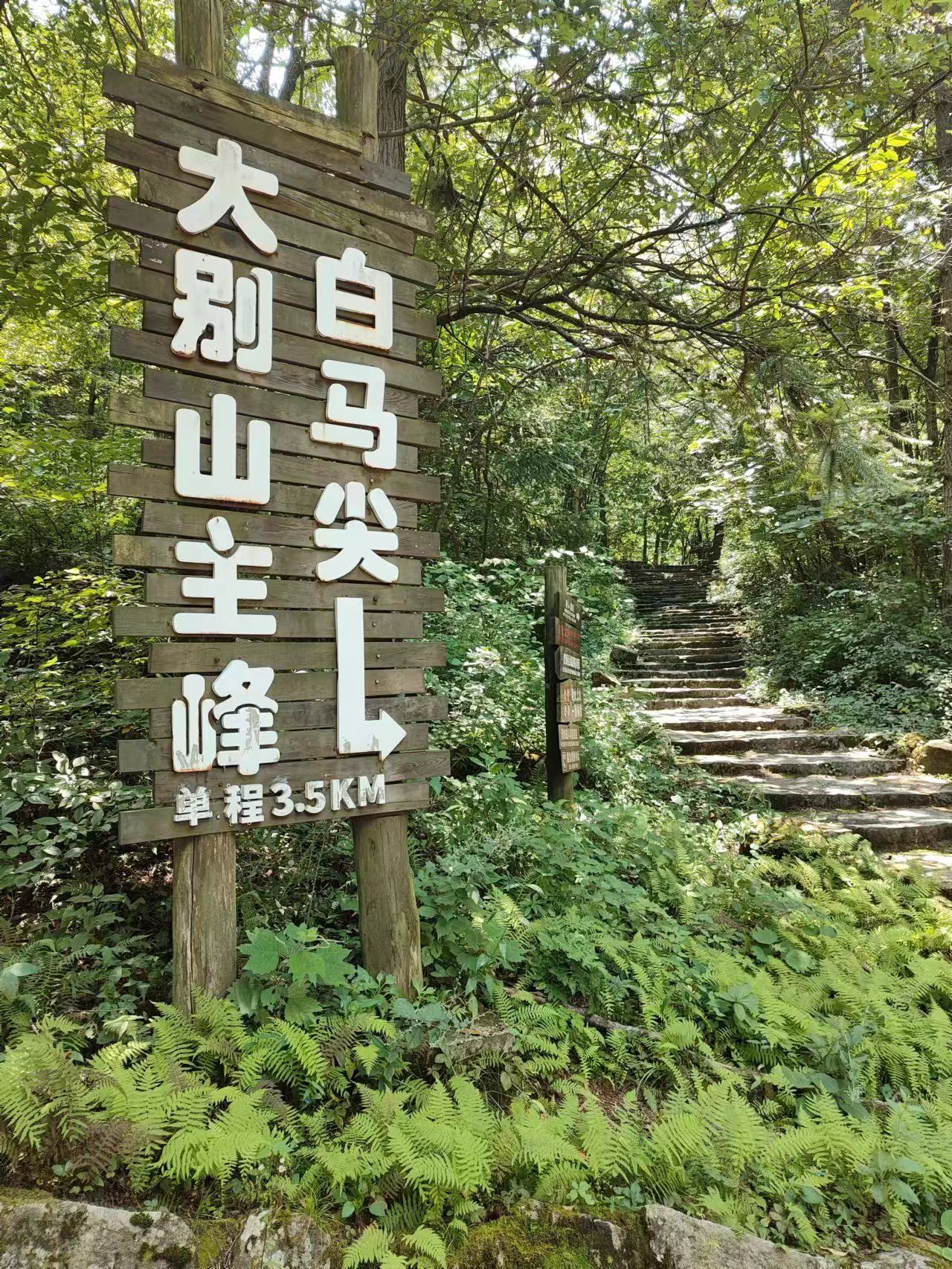 大别山主峰白马尖景区旅行图片 1