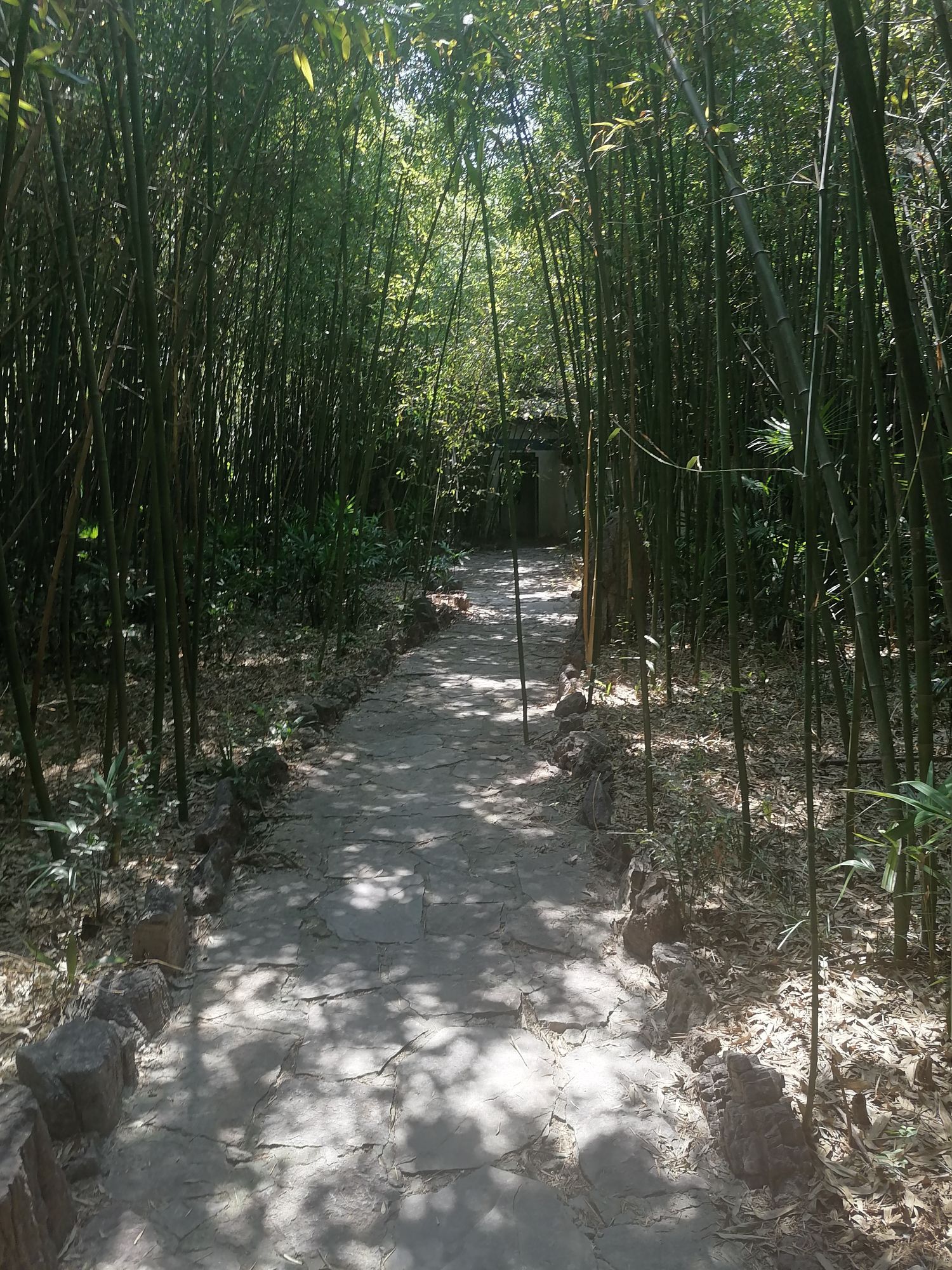玄帝庙公园旅行图片 1