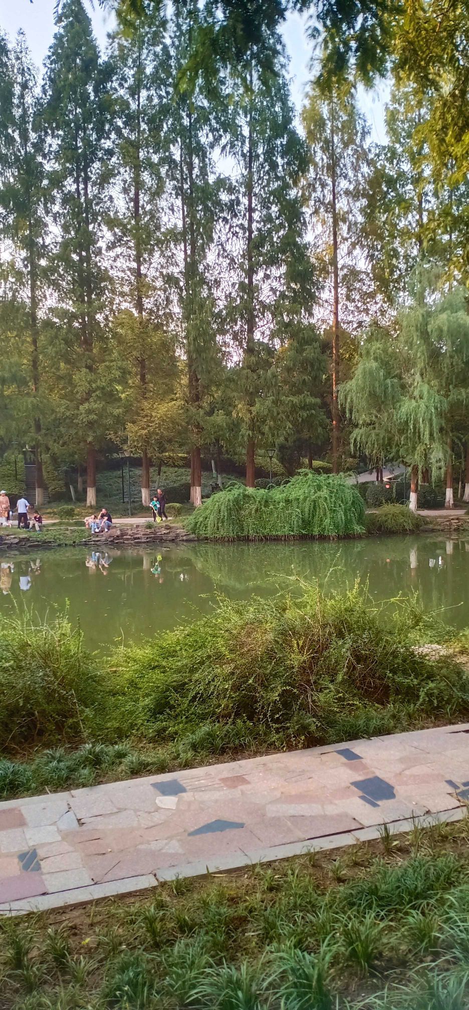 九墩塘公园旅行图片 2