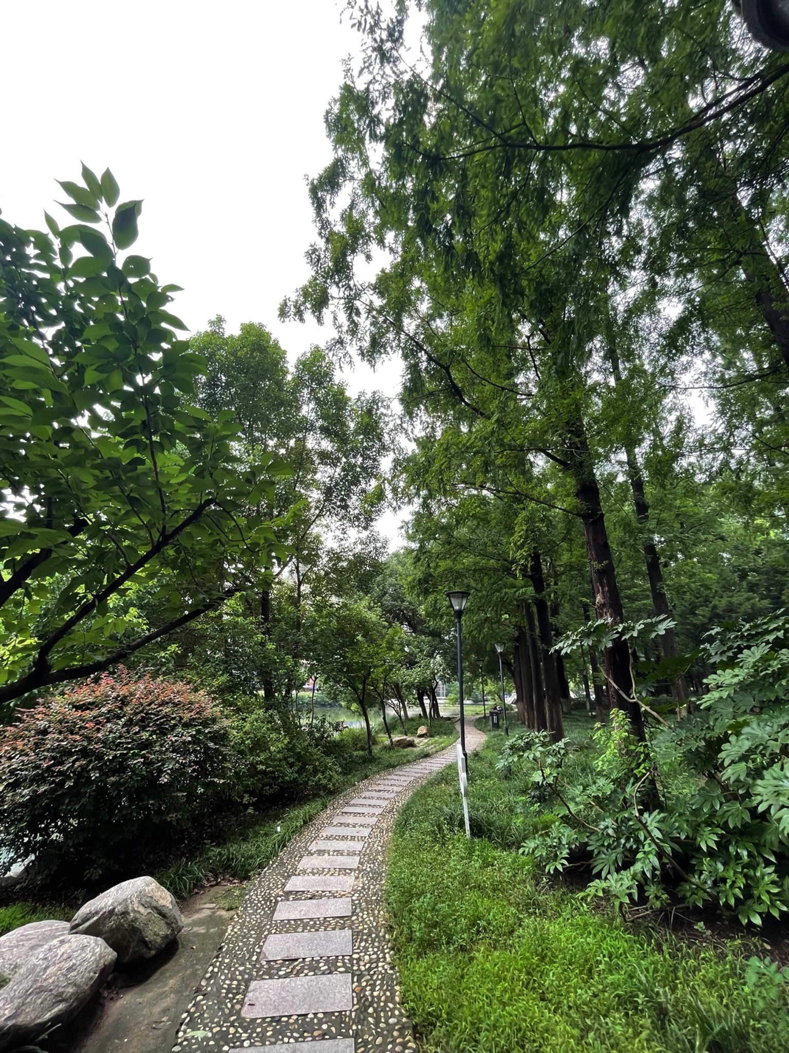 九墩塘公园旅行图片 3