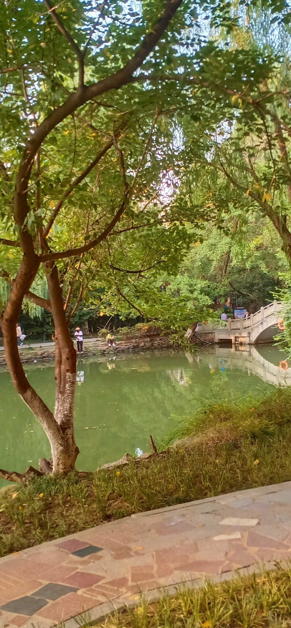 九墩塘公园旅行图片 1