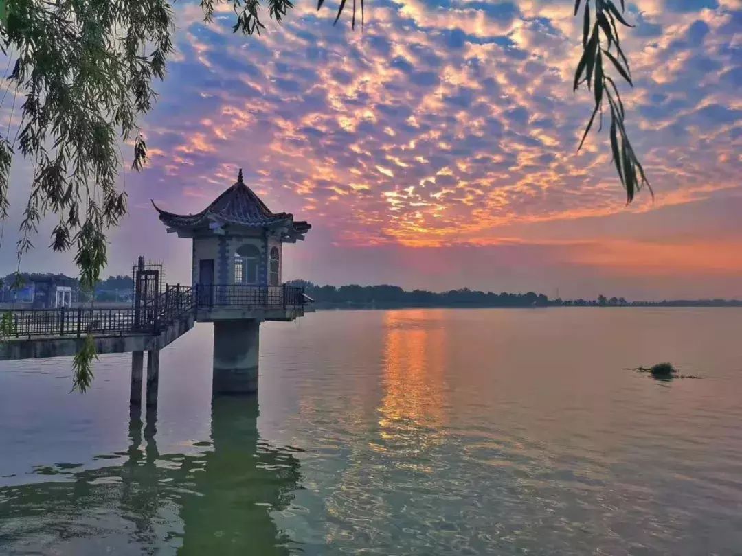 安丰塘旅行图片 3
