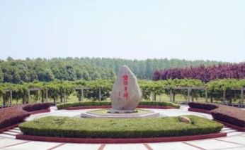 六安市霍邱县临淮岗景区旅行图片 2