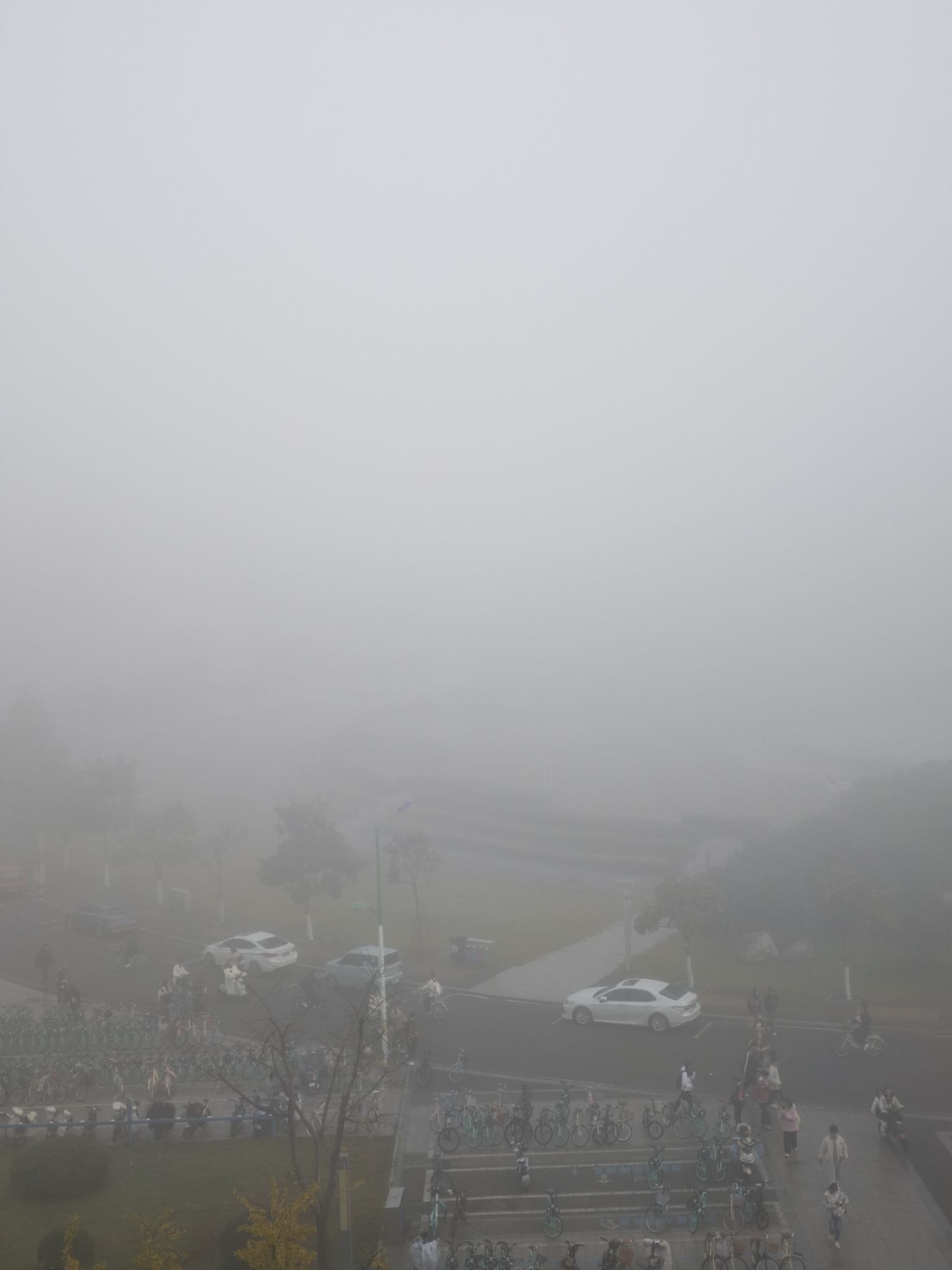 北塔公园旅行图片 3