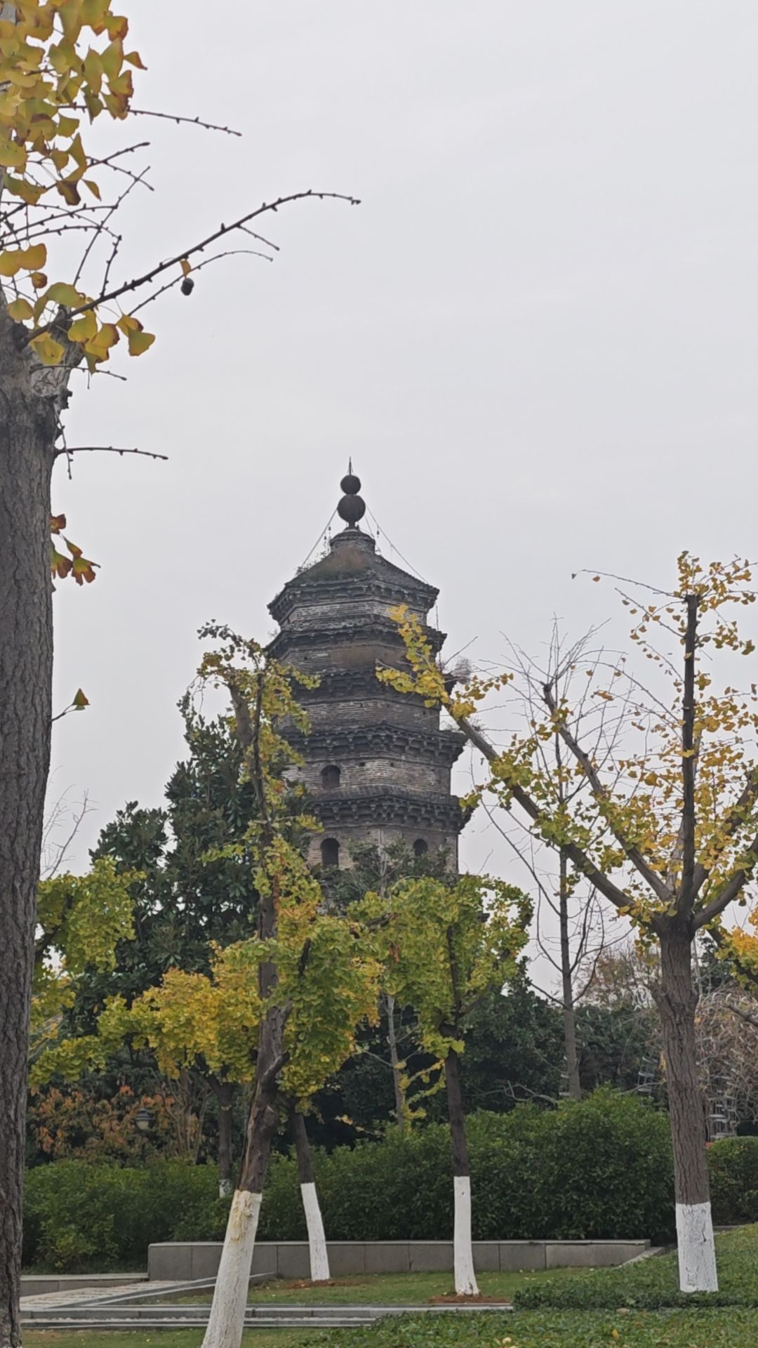 北塔公园旅行图片 1
