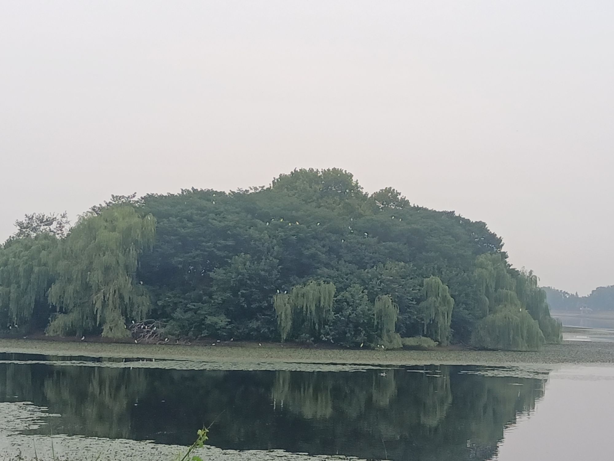 水门塘公园旅行图片 2