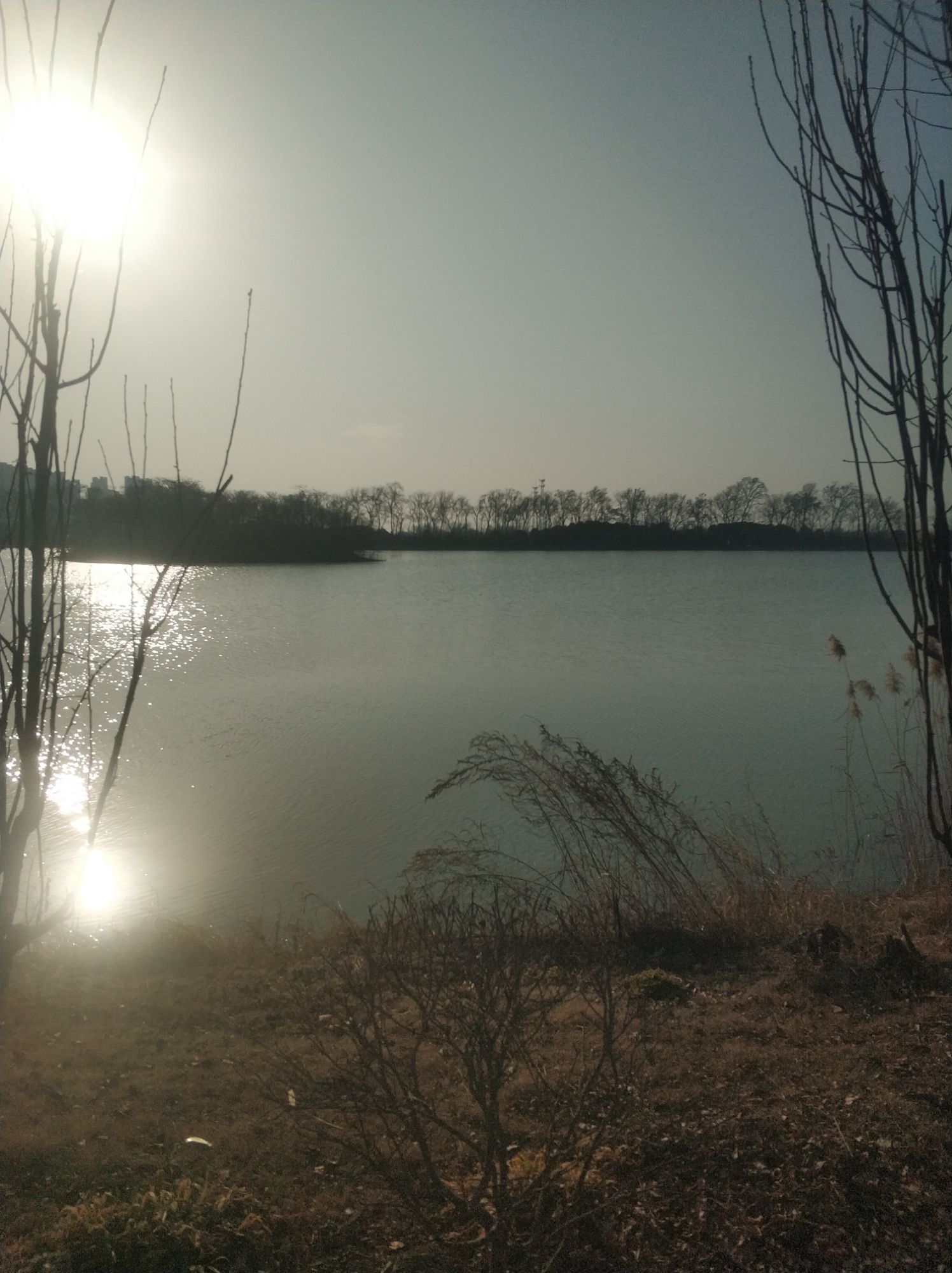 水门塘公园旅行图片 2