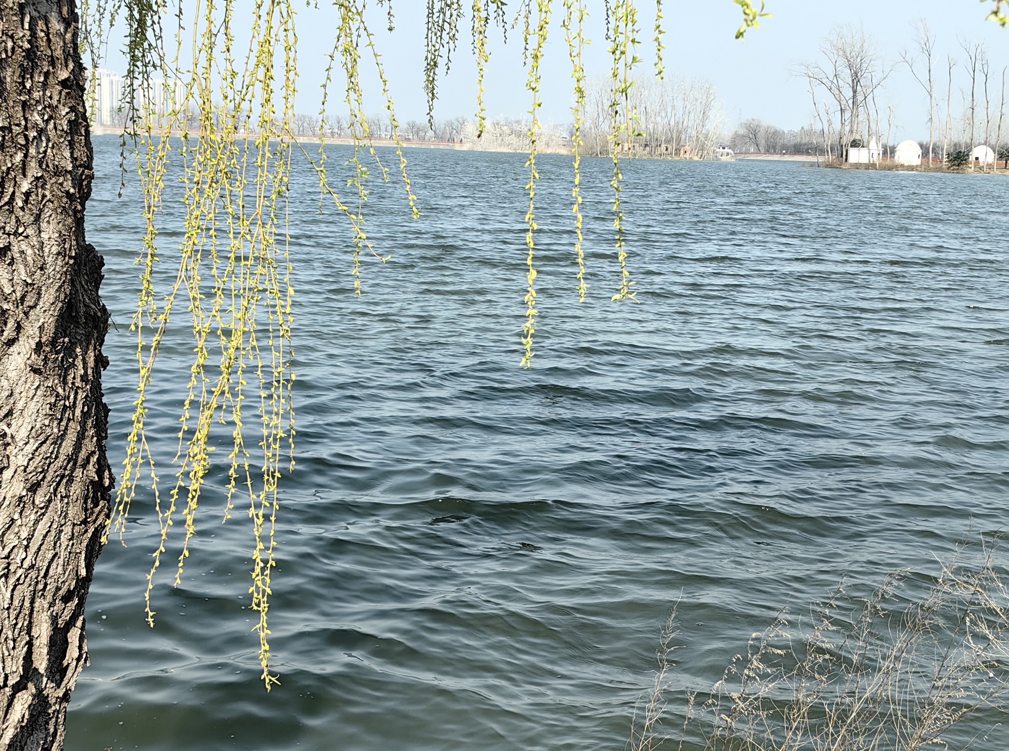 水门塘公园旅行图片 2