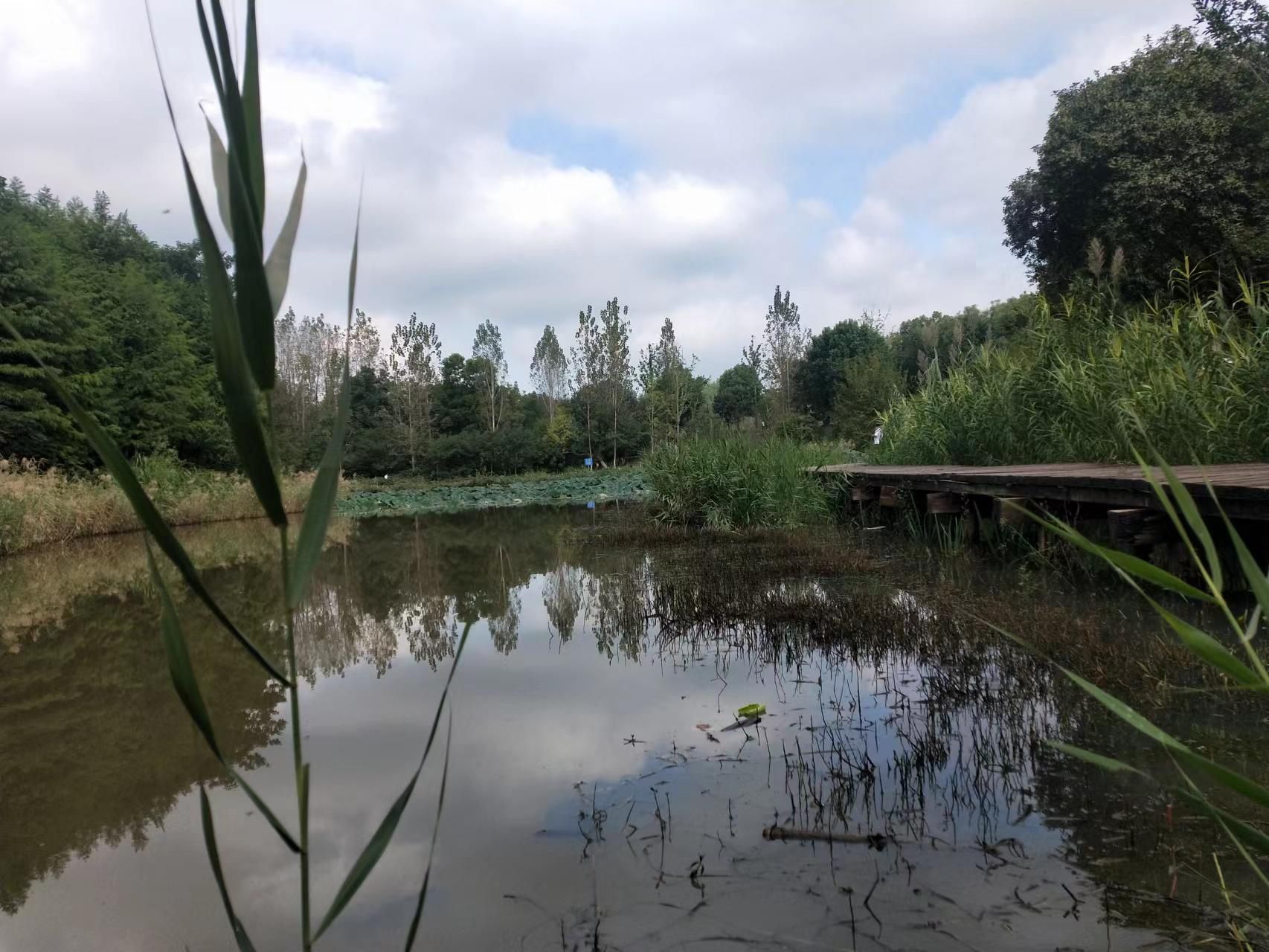 梅山水库风景区旅行图片 3