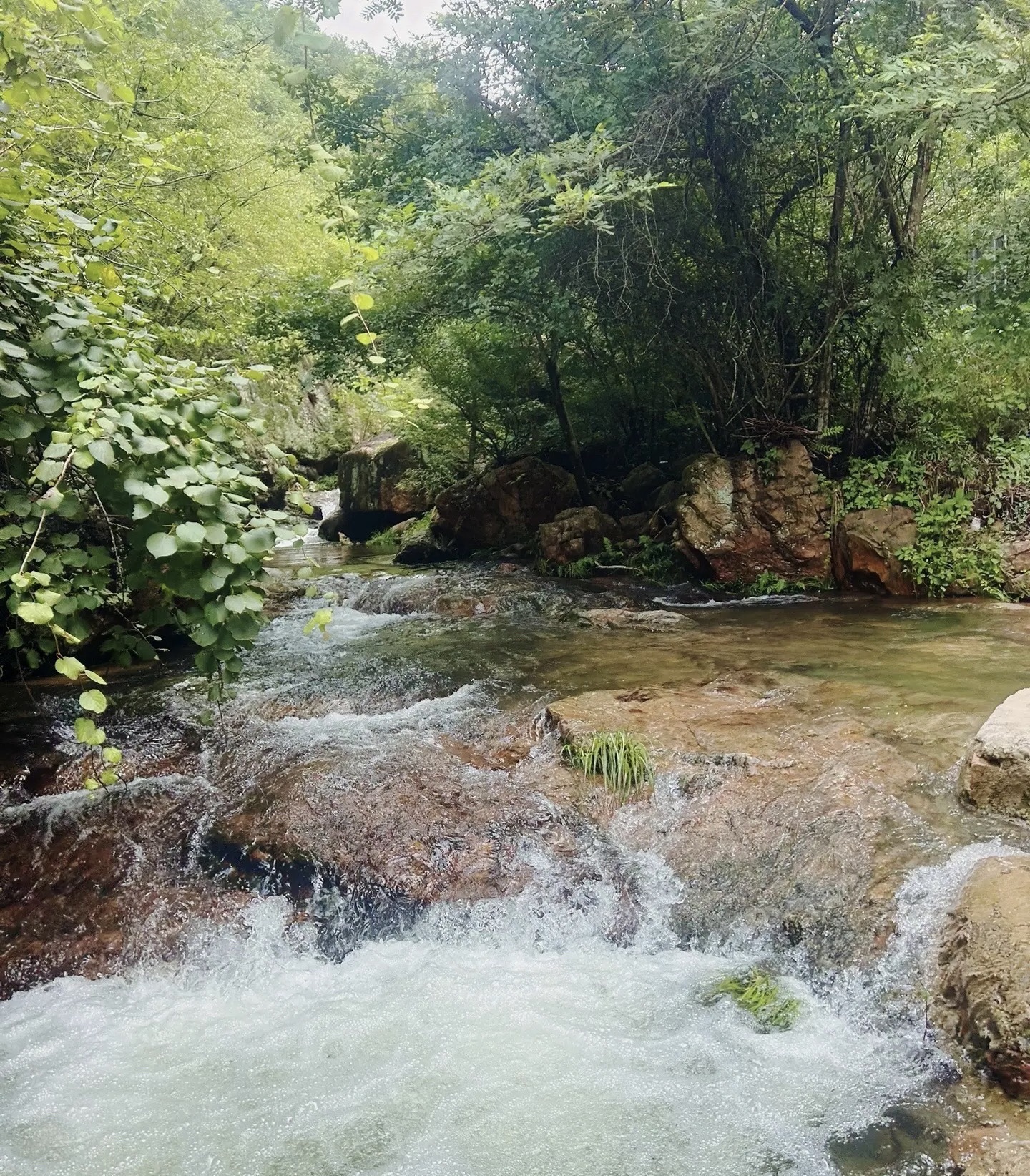 龙井峡瀑布旅行图片 3
