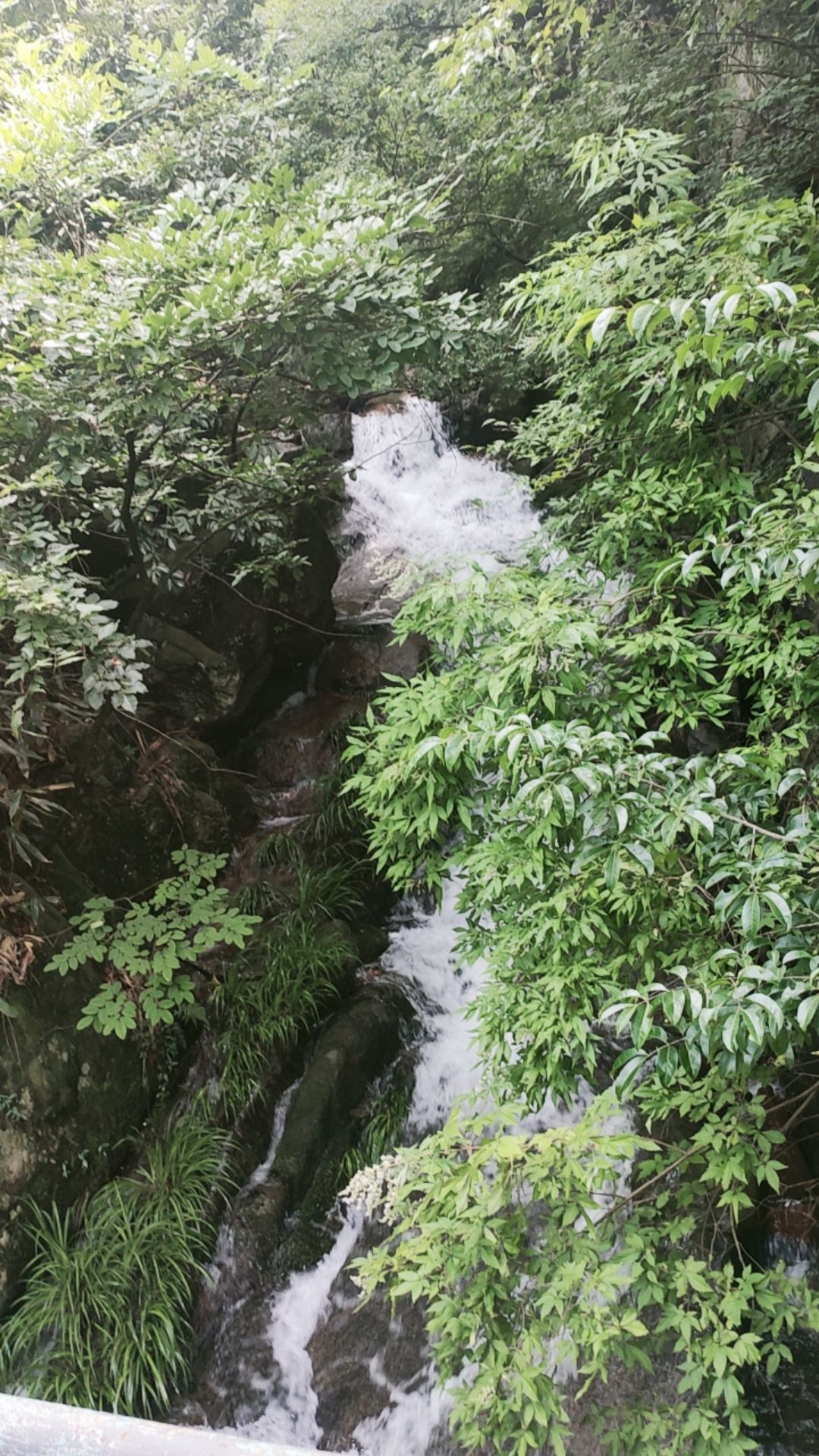 龙井沟风景区旅行图片 1